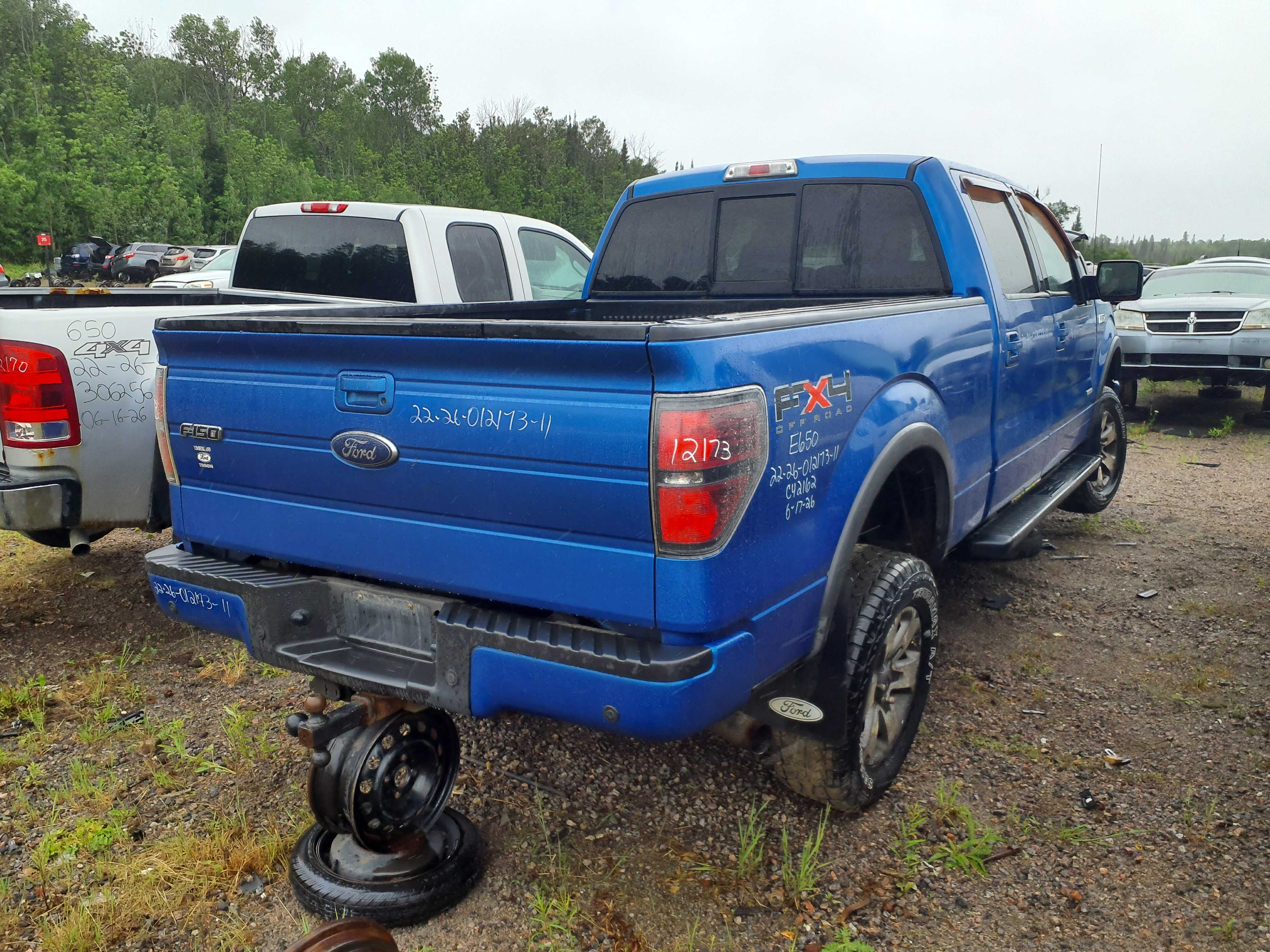 FORD F-150 2011