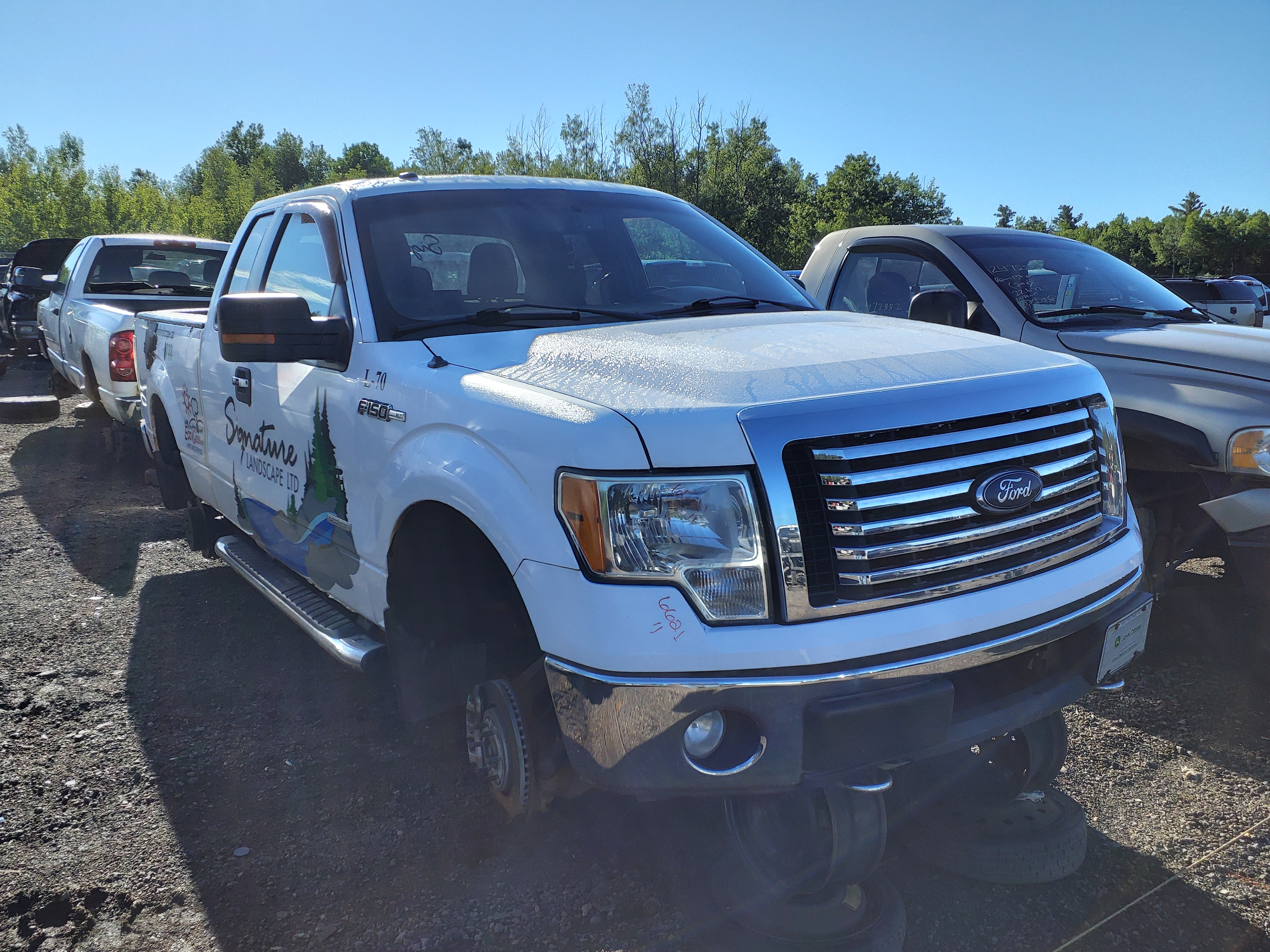 FORD F-150 2011