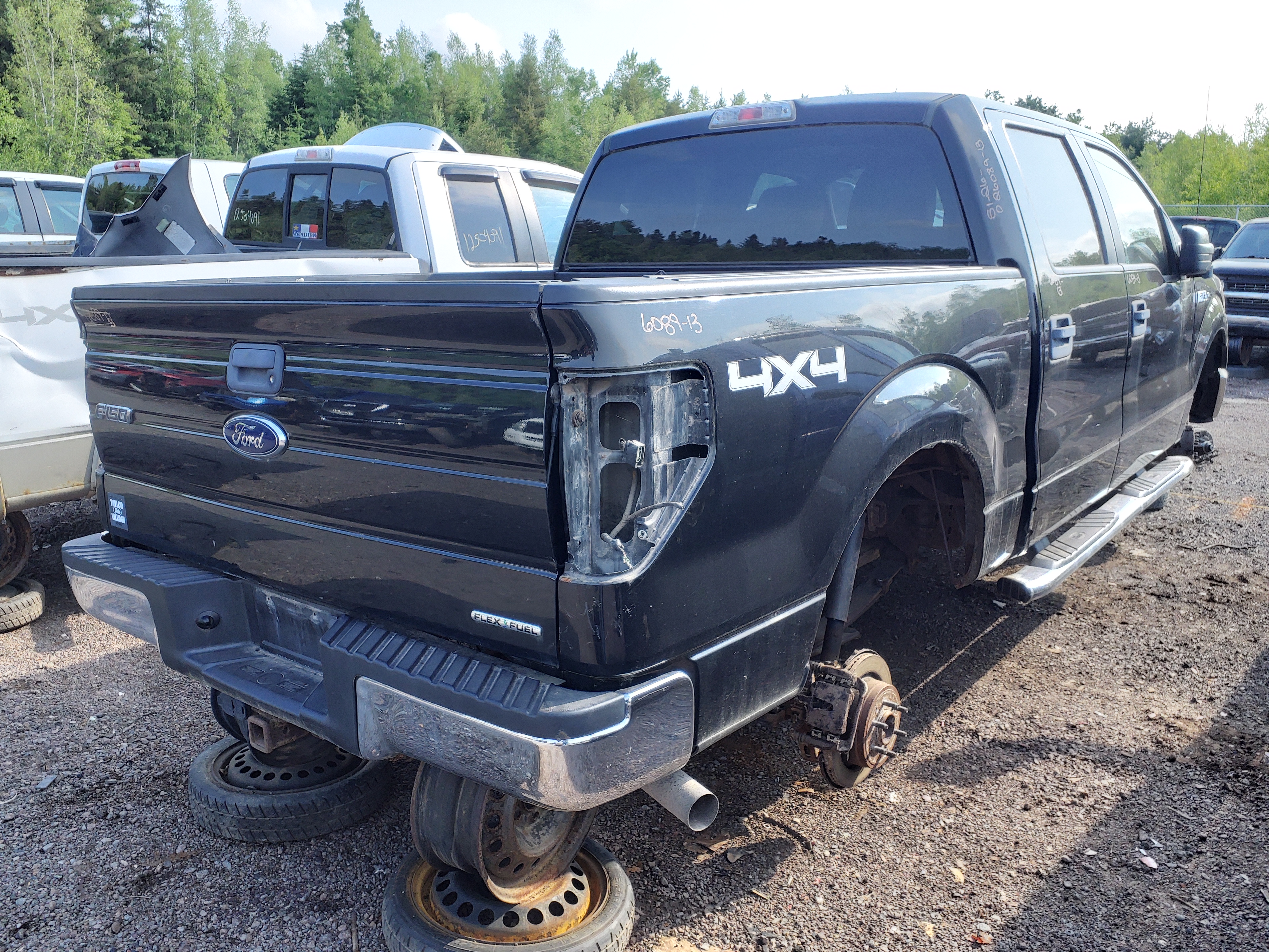 FORD F-150 2013