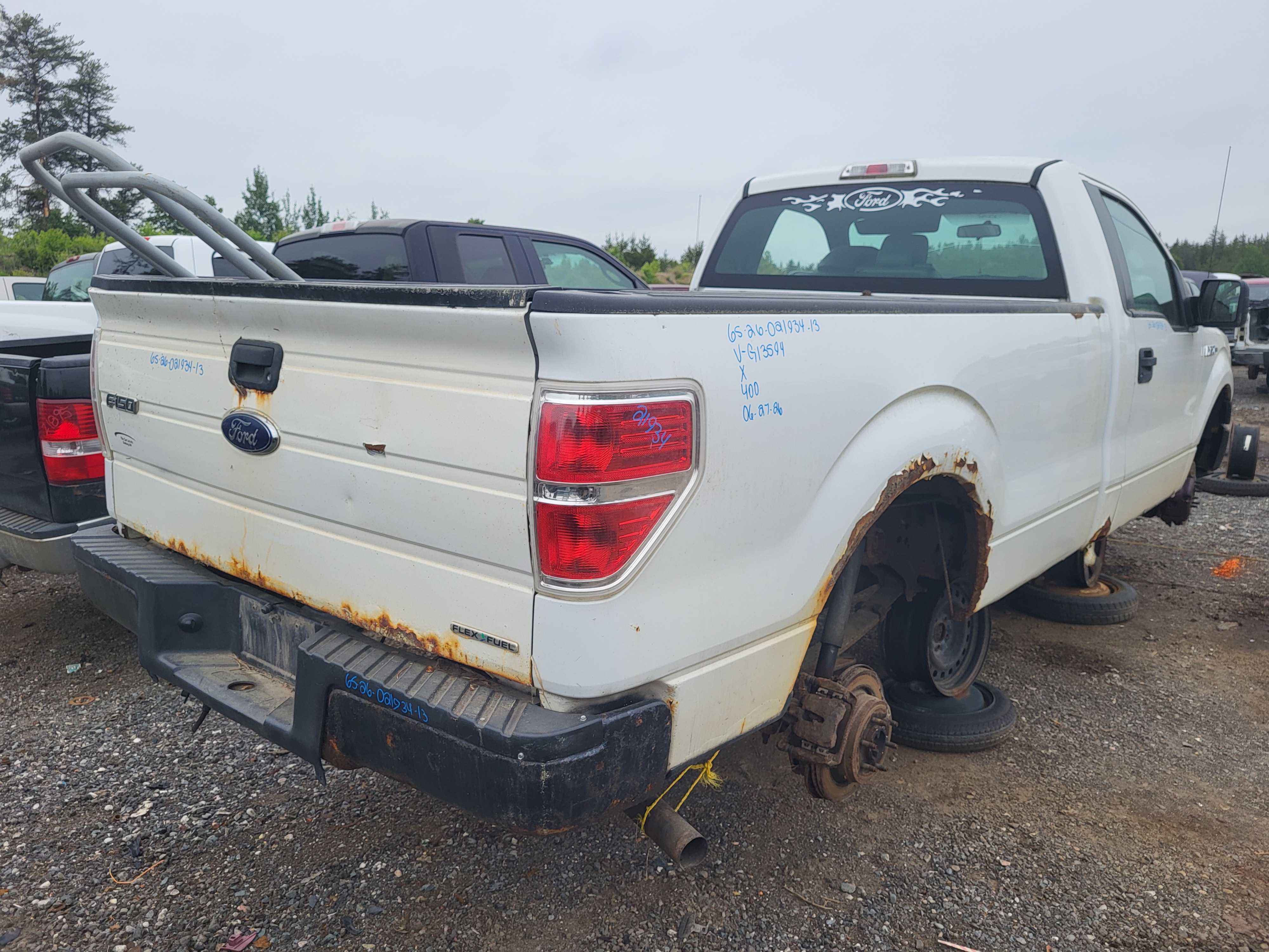 FORD F-150 2013