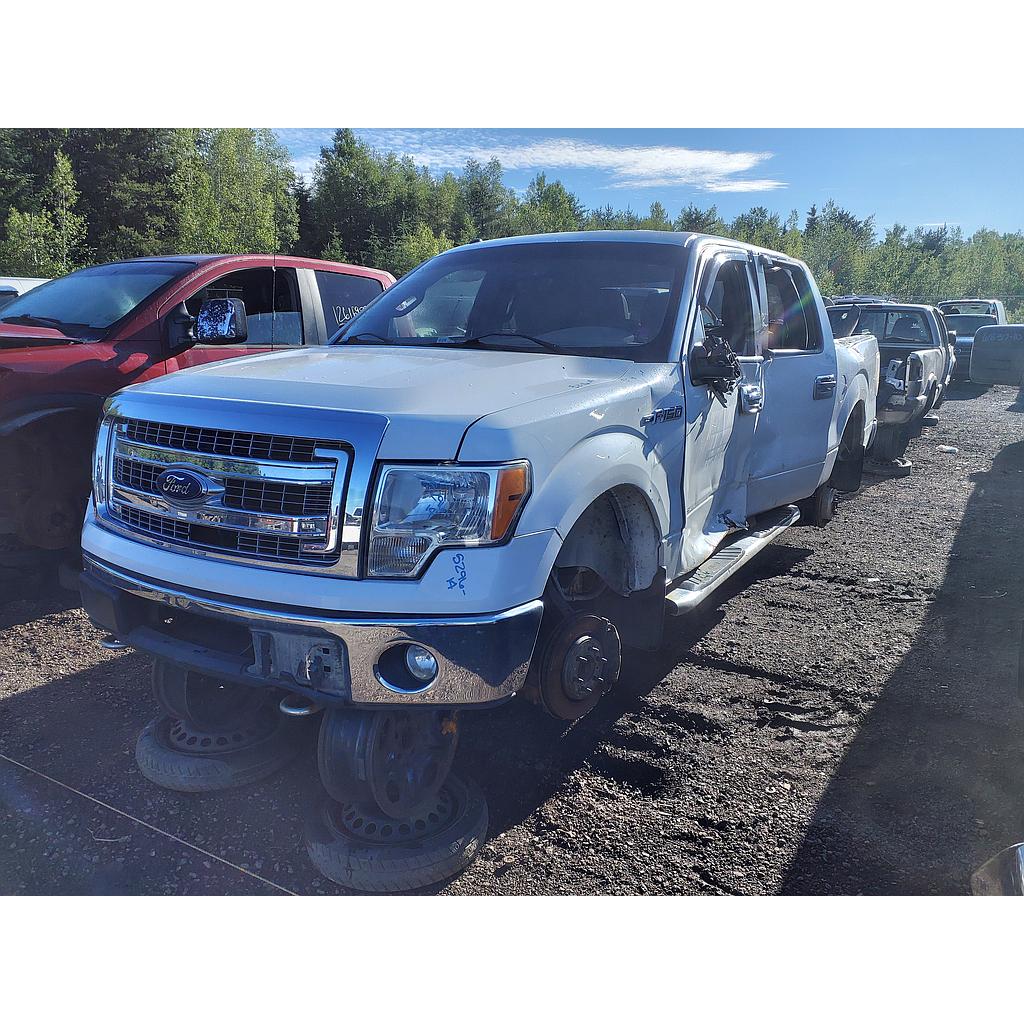 FORD F-150 2014