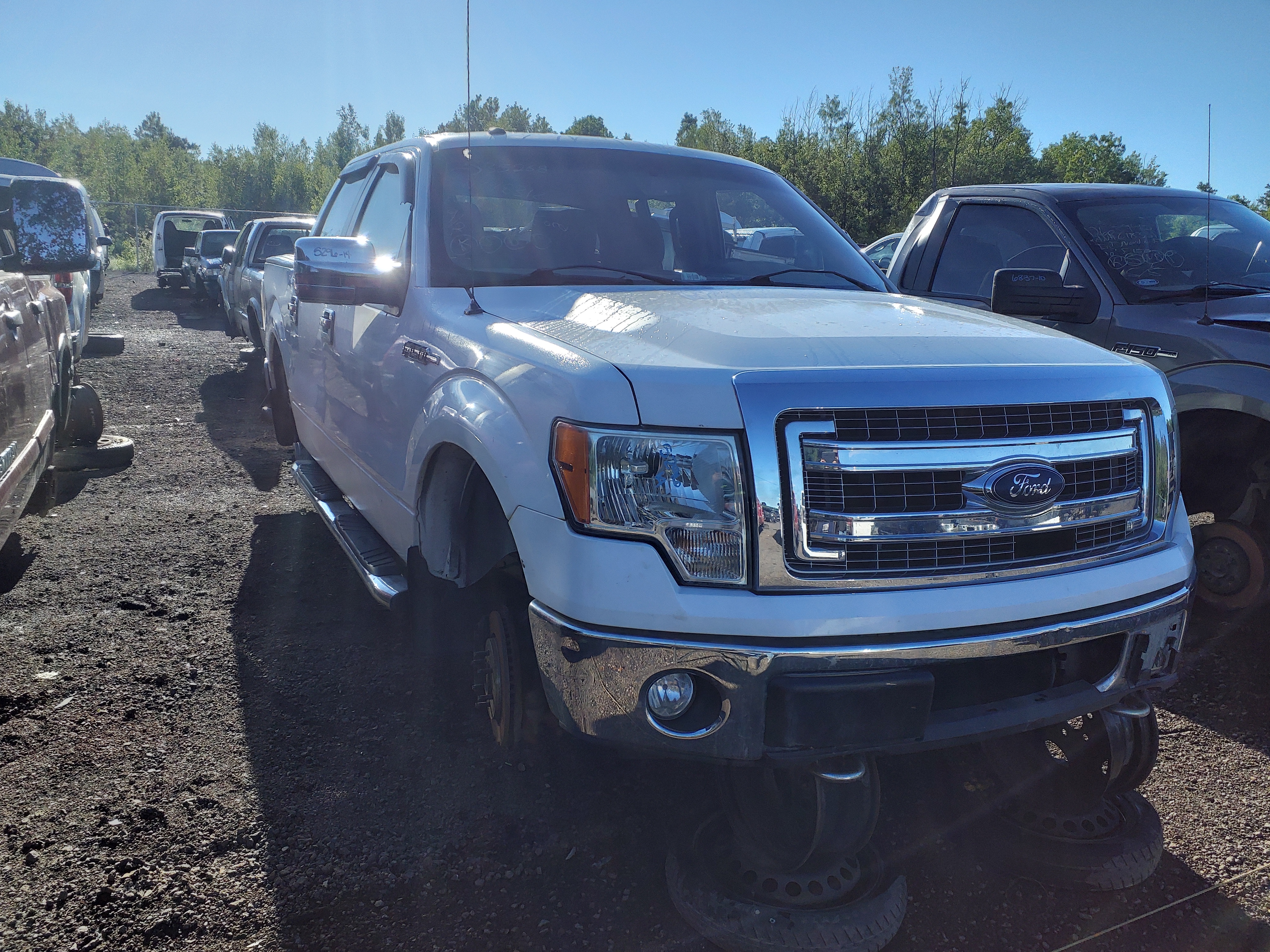 FORD F-150 2014