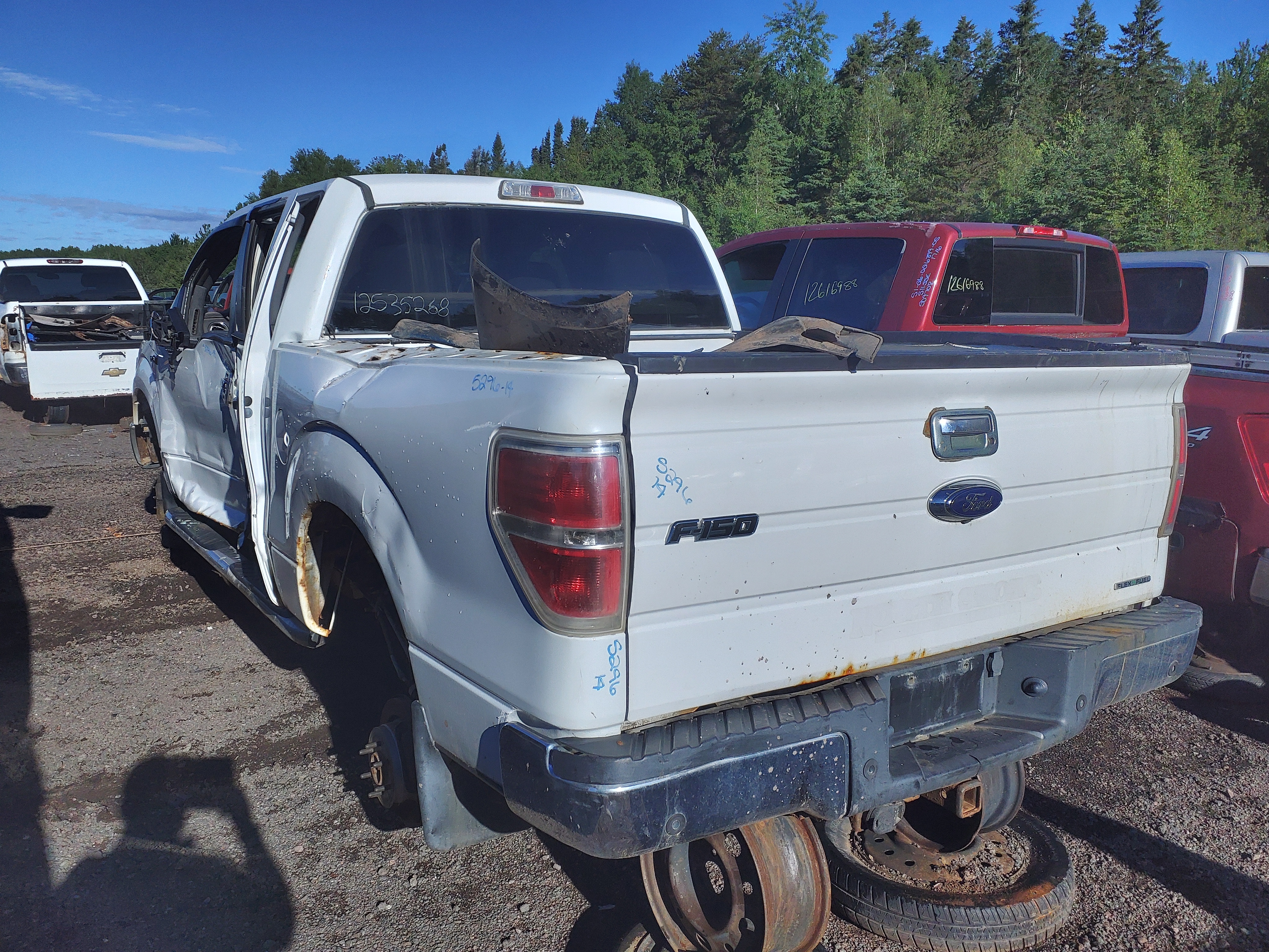 FORD F-150 2014