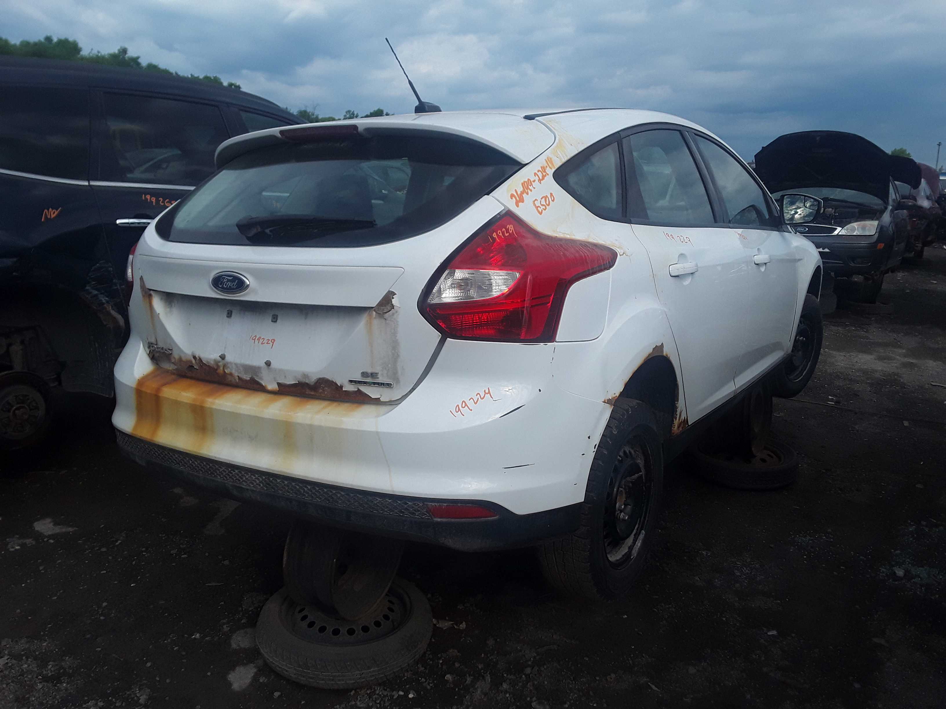 FORD FOCUS 2014