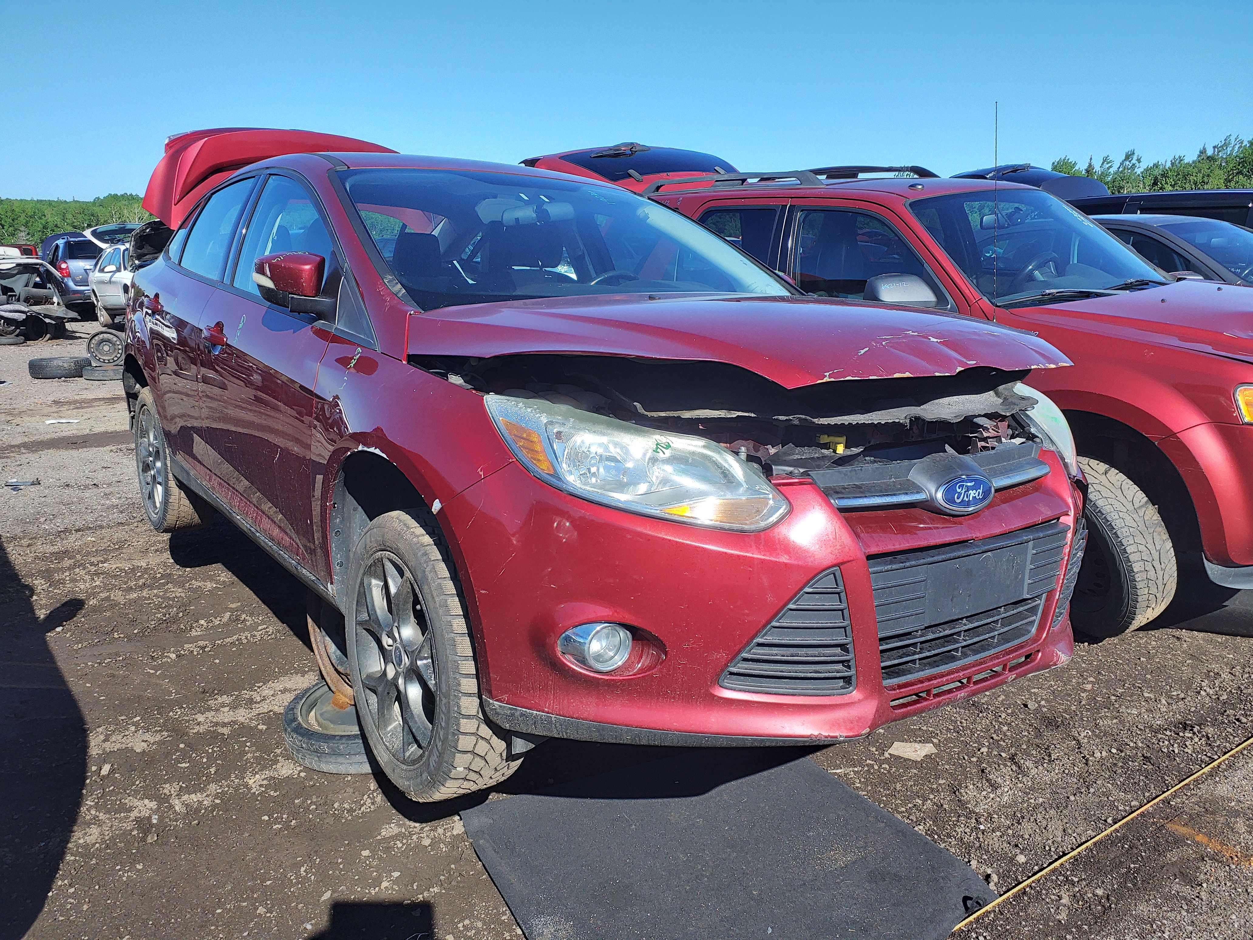 FORD FOCUS 2014