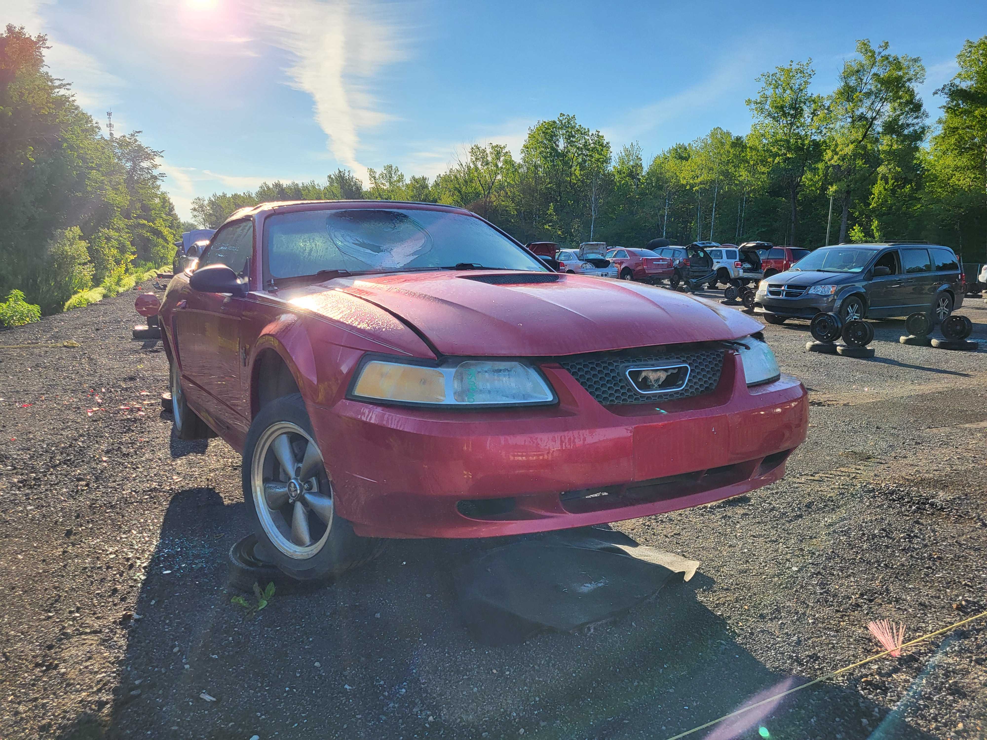 FORD MUSTANG 2000