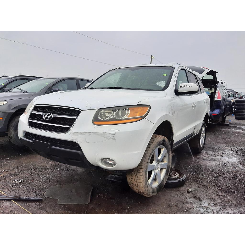 HYUNDAI SANTA FE 2009