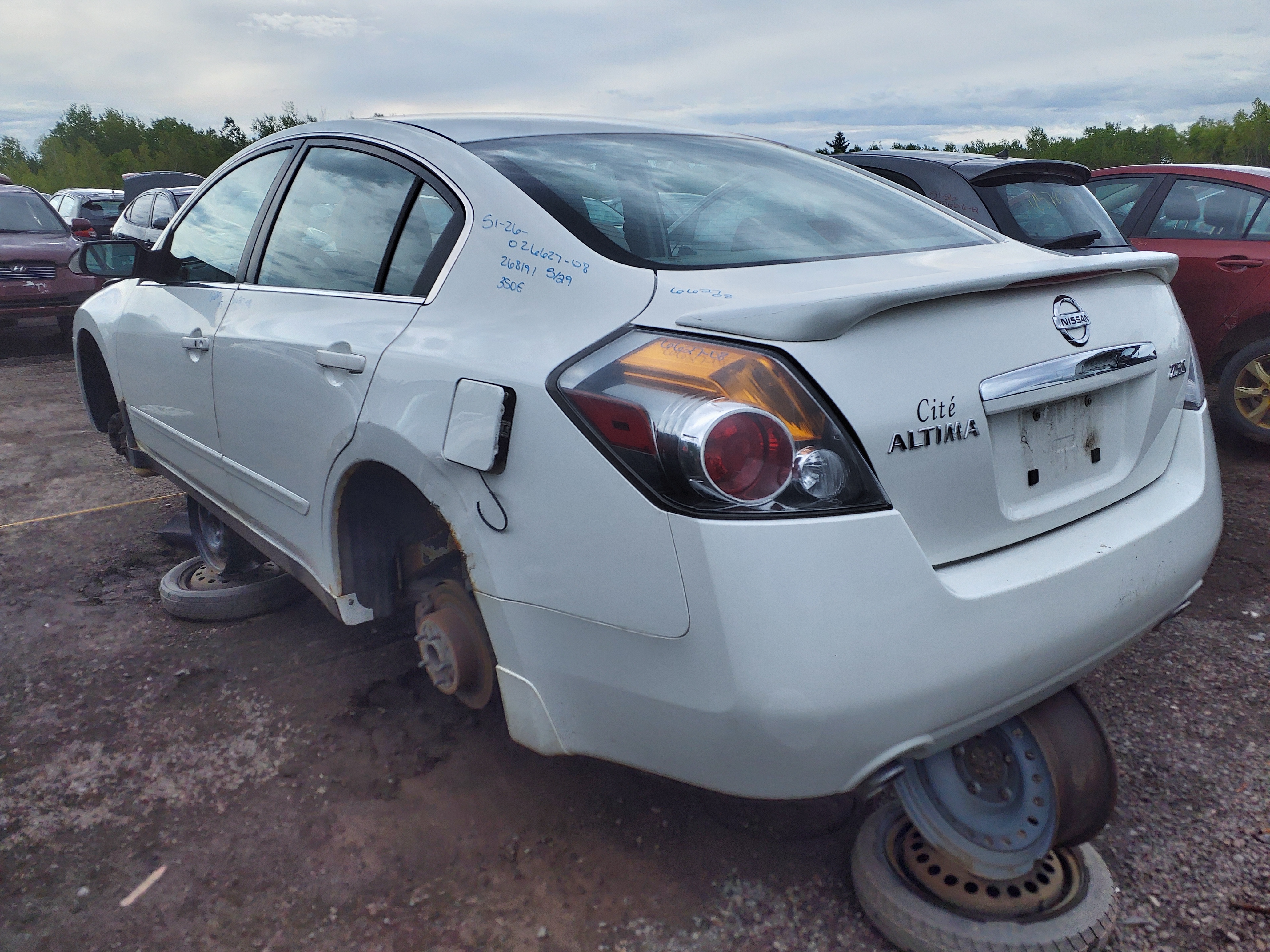 NISSAN ALTIMA 2008
