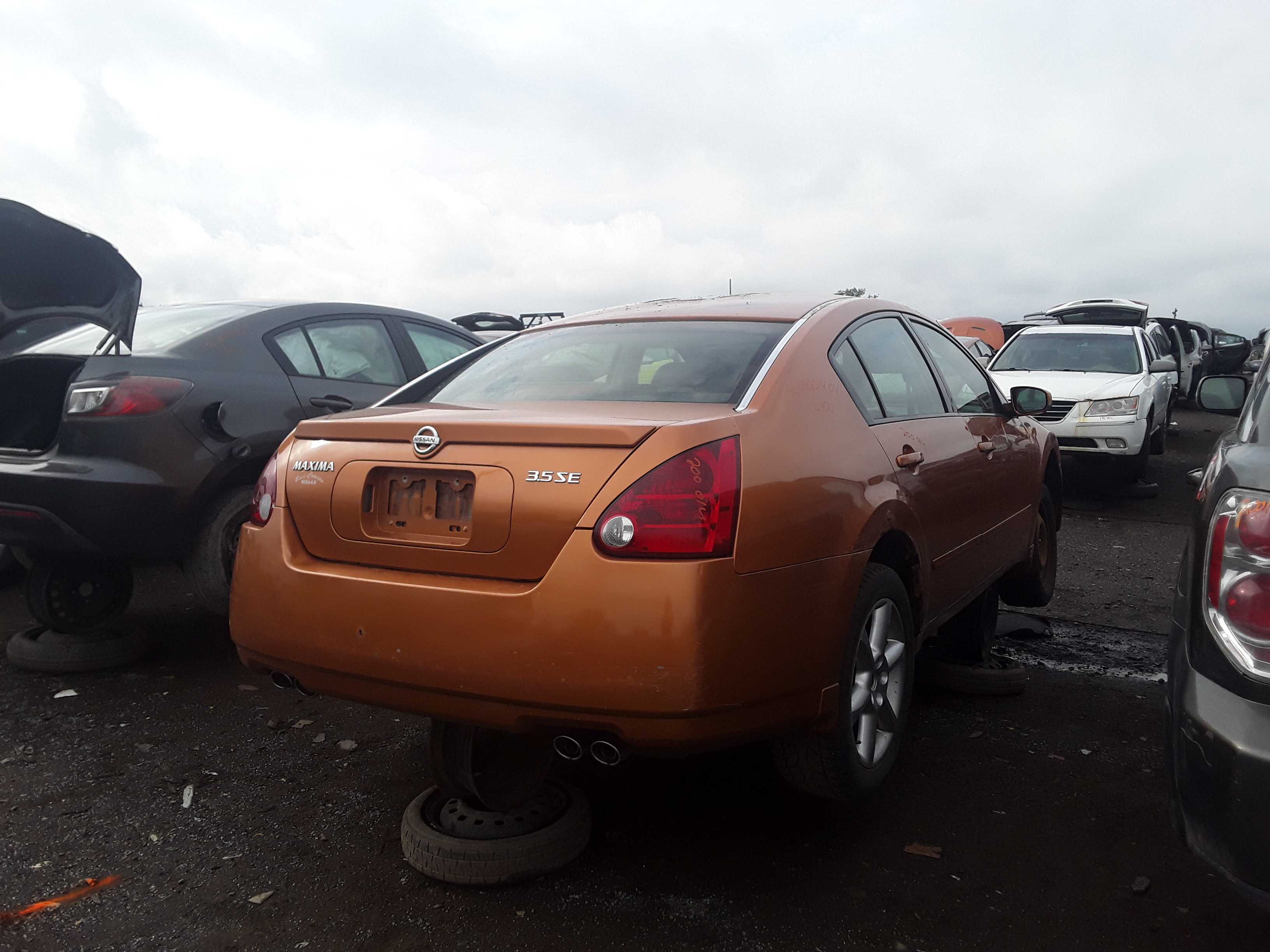 NISSAN MAXIMA 2004