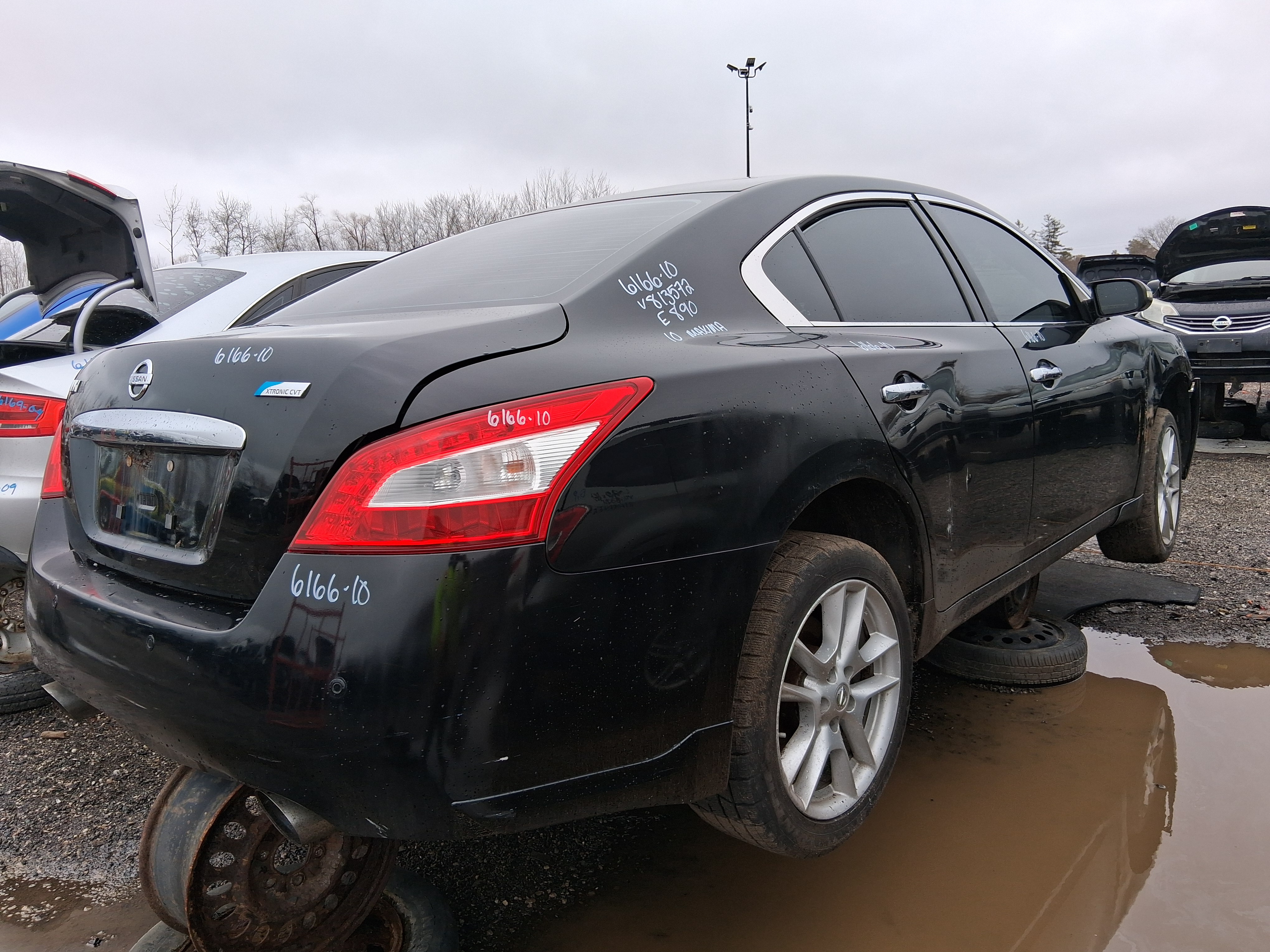 NISSAN MAXIMA 2010
