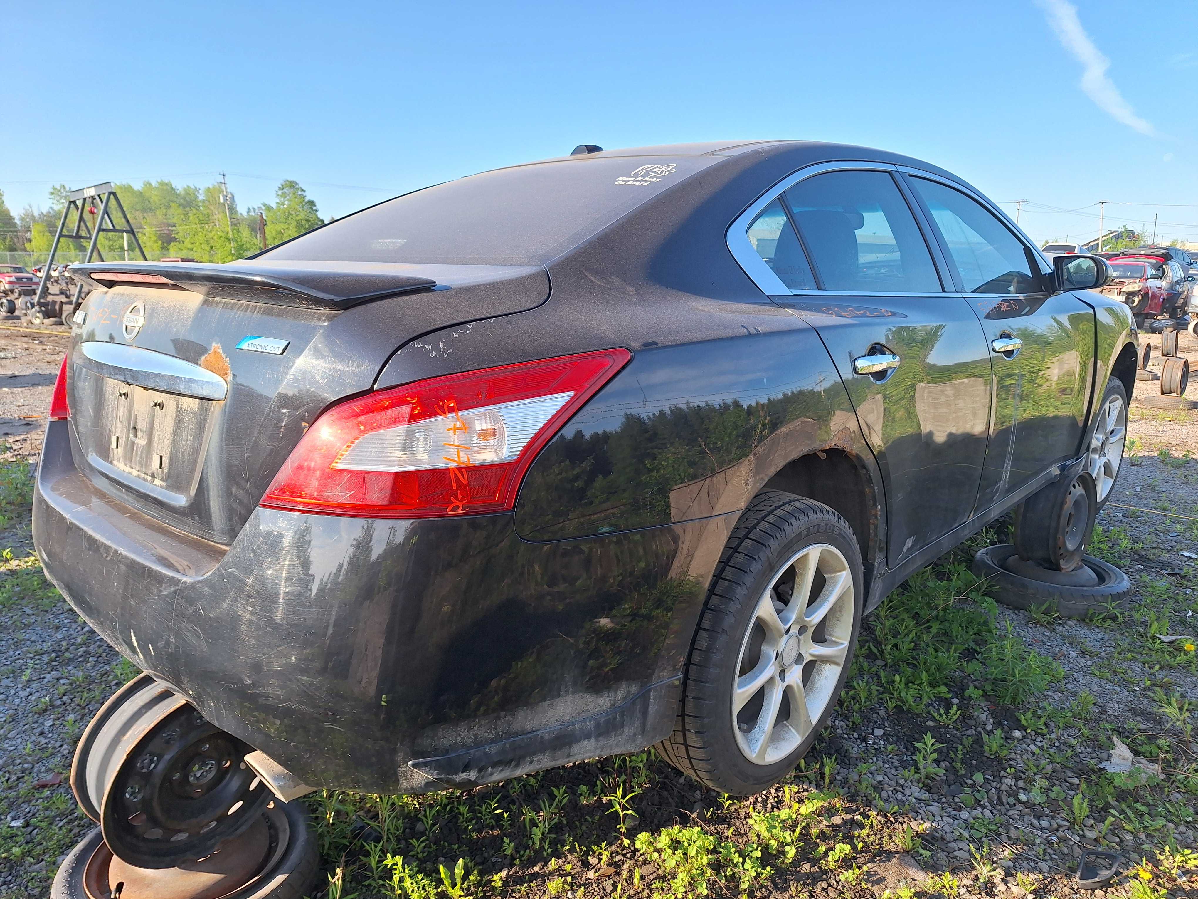 NISSAN MAXIMA 2010