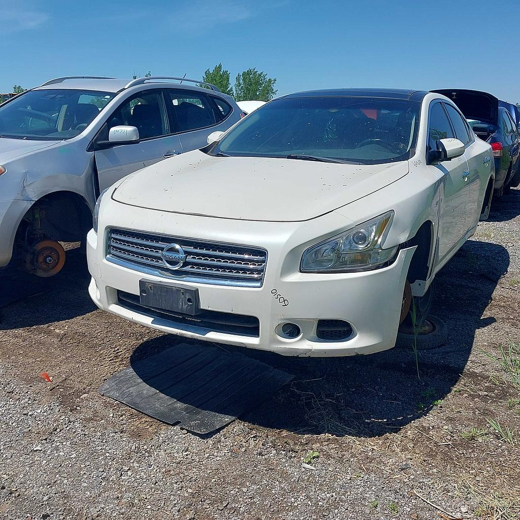 NISSAN MAXIMA 2010