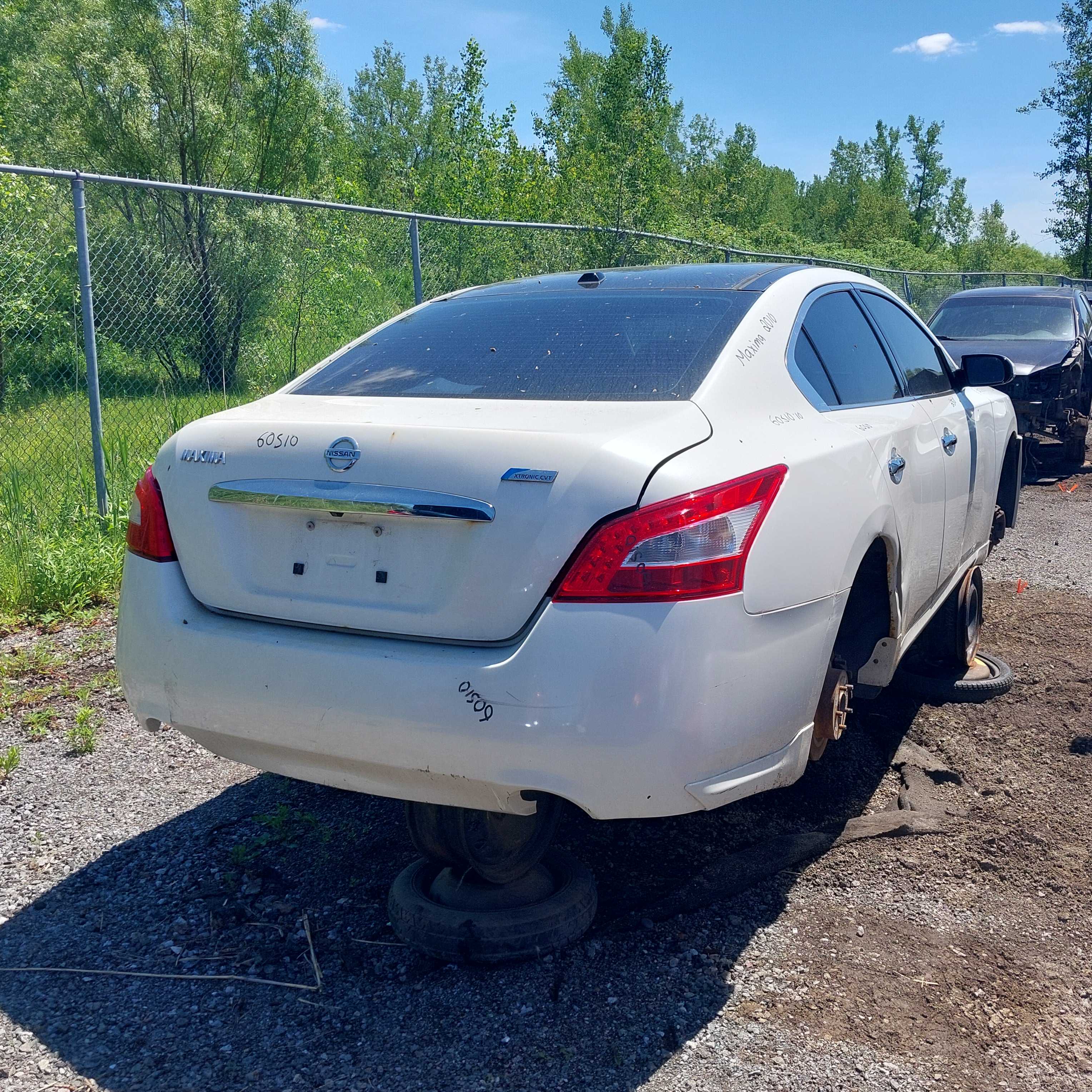 NISSAN MAXIMA 2010