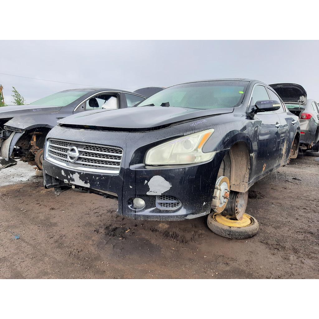 NISSAN MAXIMA 2010
