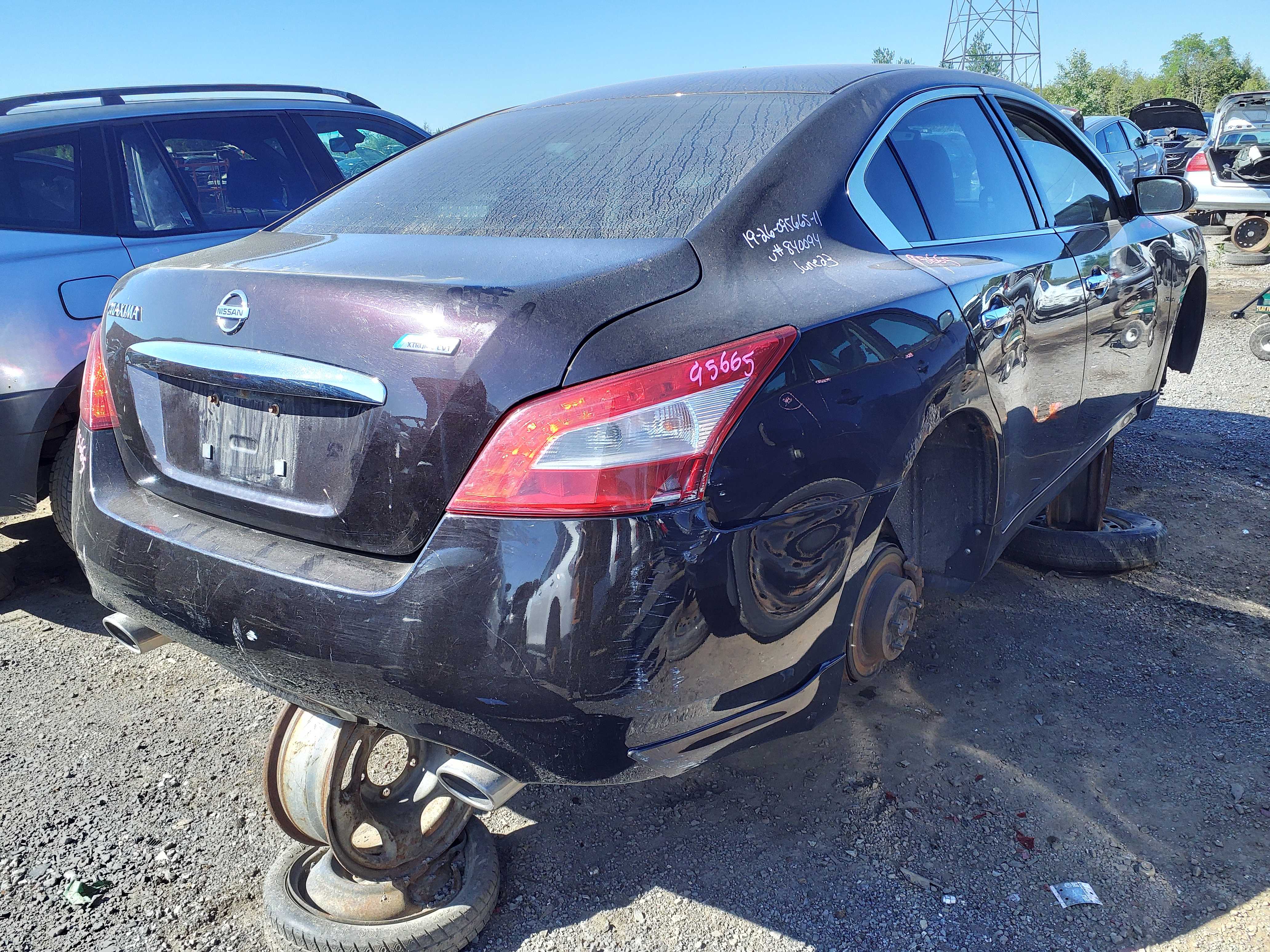 NISSAN MAXIMA 2011