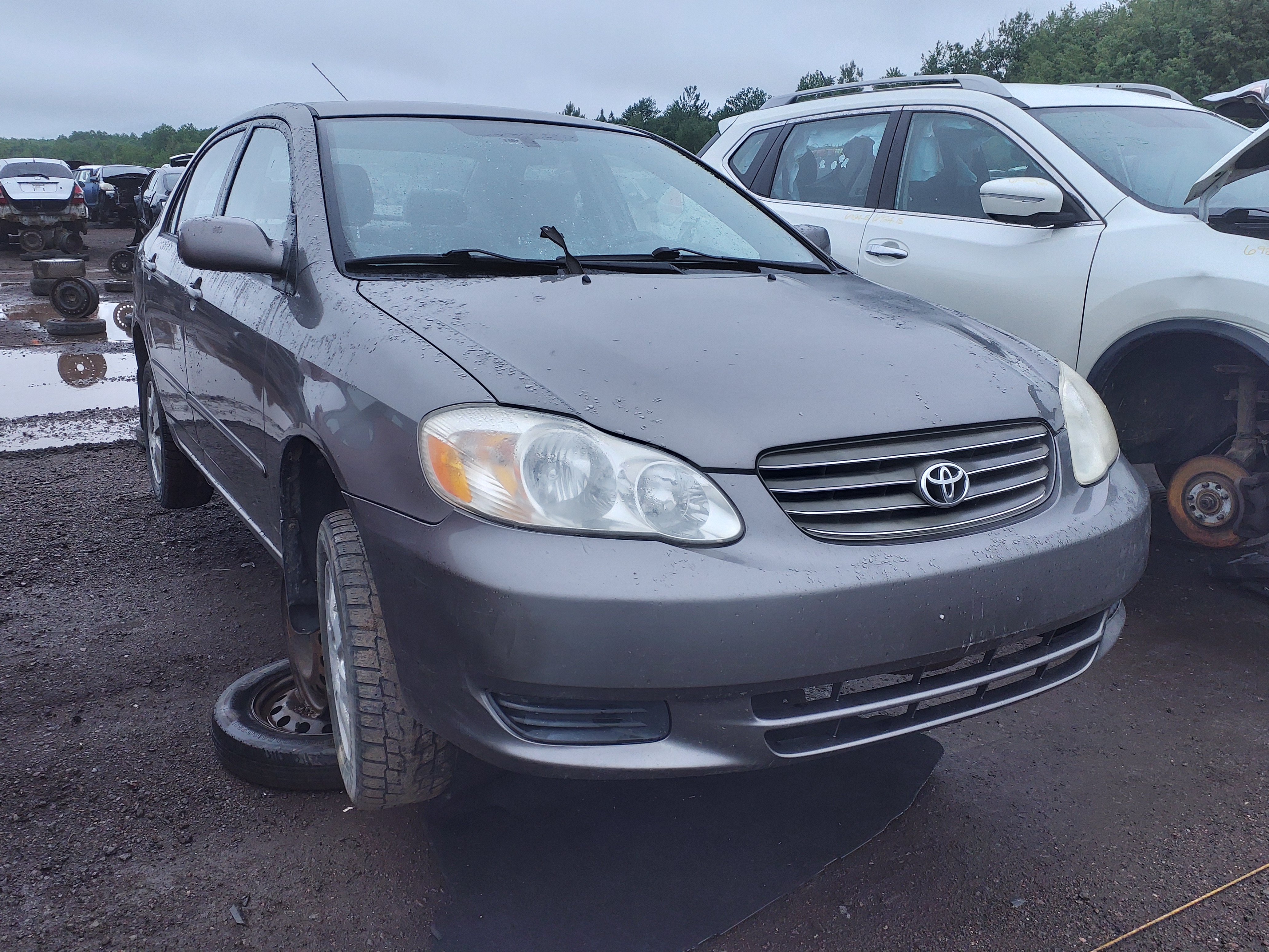 TOYOTA COROLLA 2003