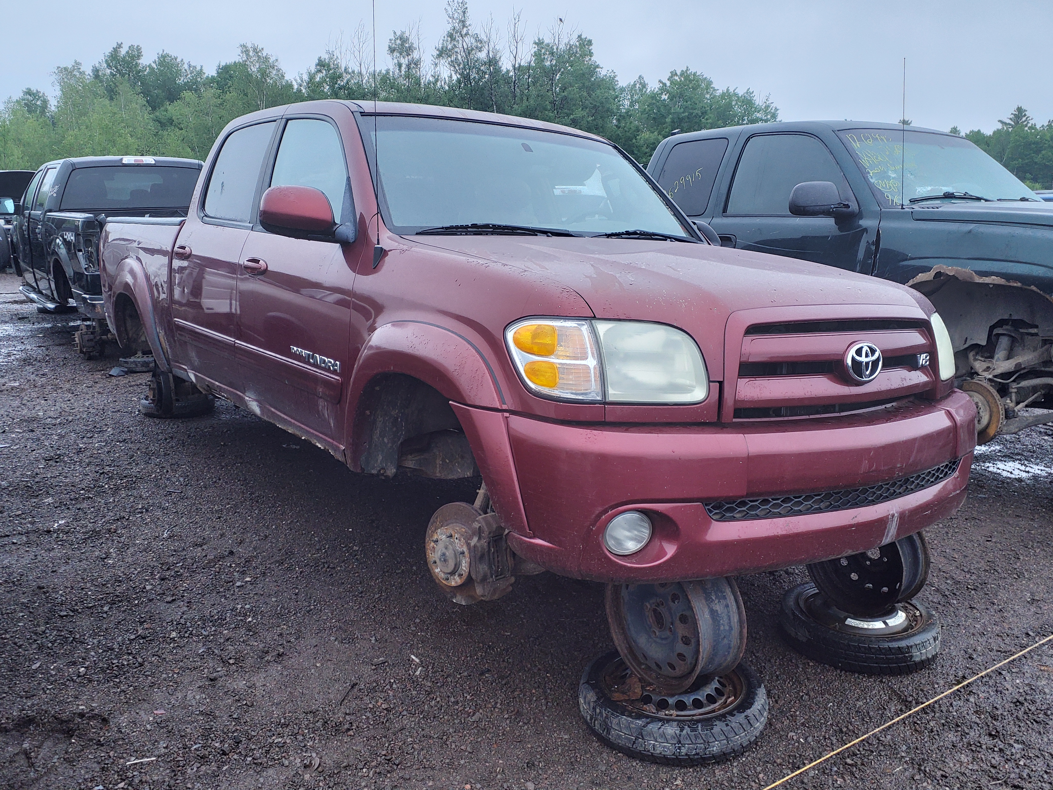 TOYOTA TUNDRA 2004