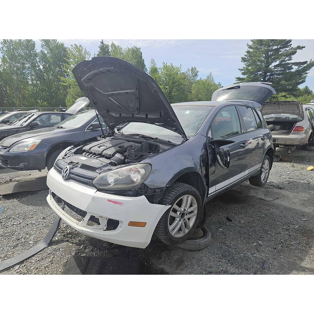VOLKSWAGEN GOLF 2010