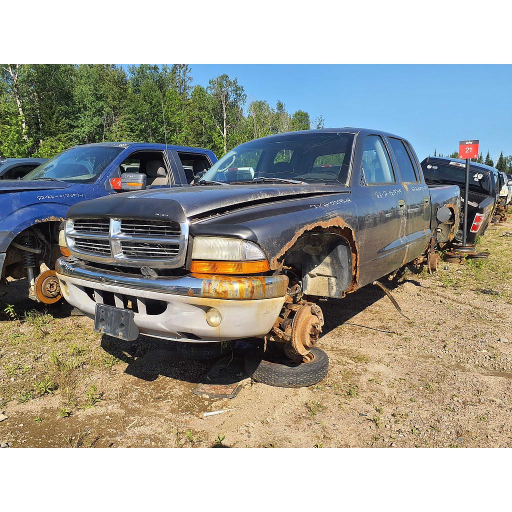 DODGE DAKOTA 2004