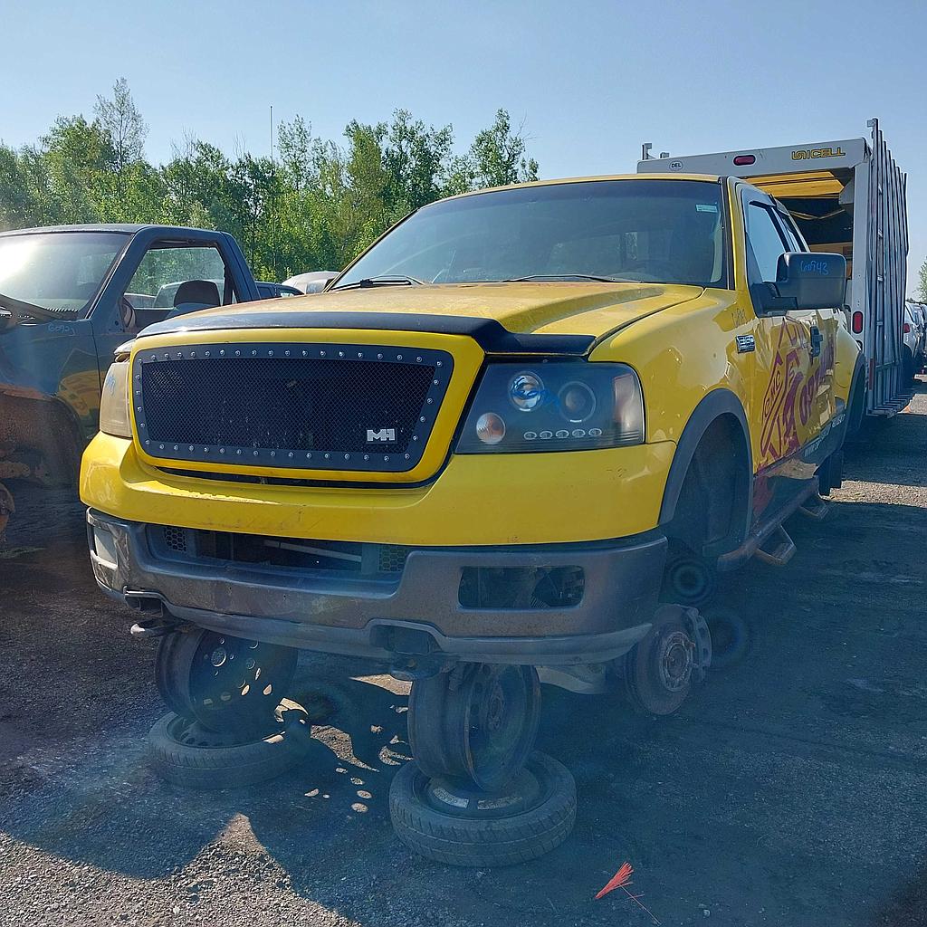FORD F-150 2004