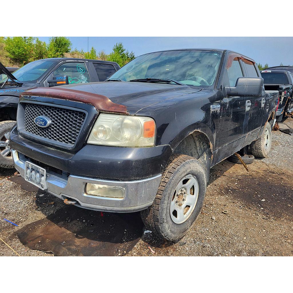 FORD F-150 2004