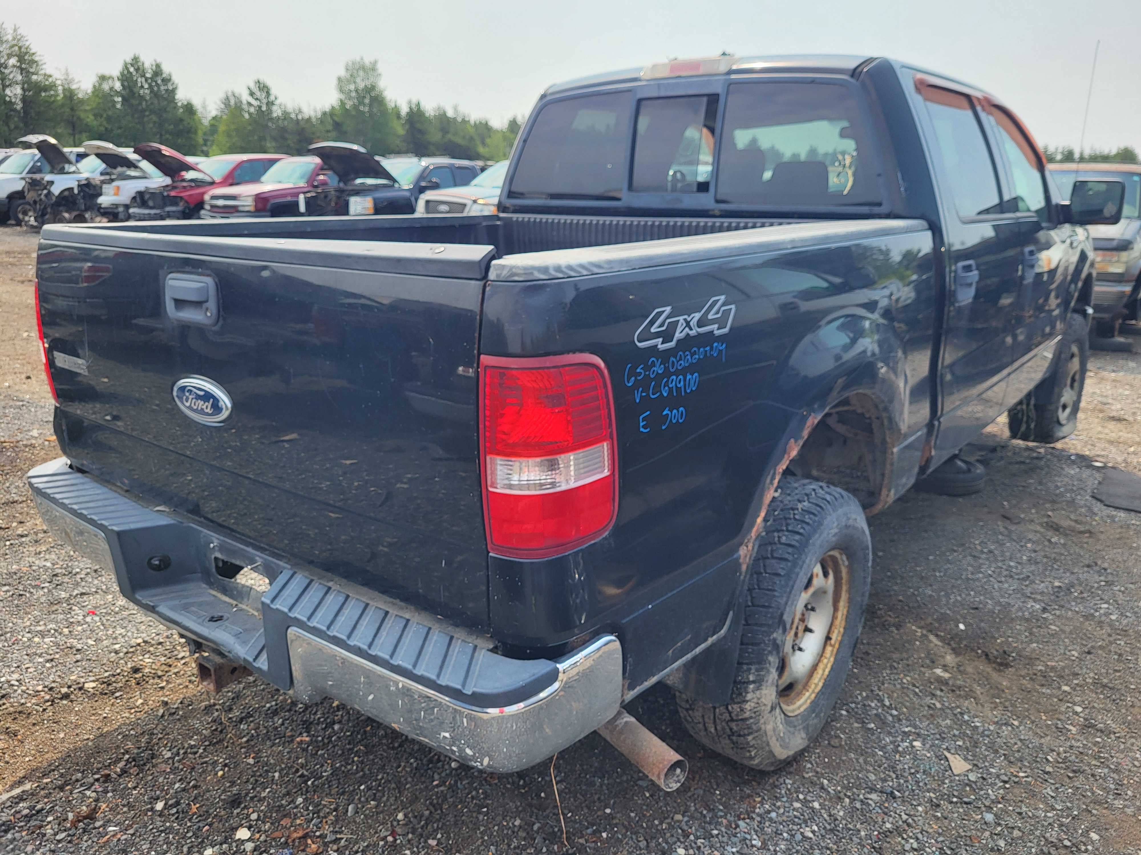 FORD F-150 2004