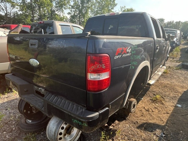 FORD F-150 2006