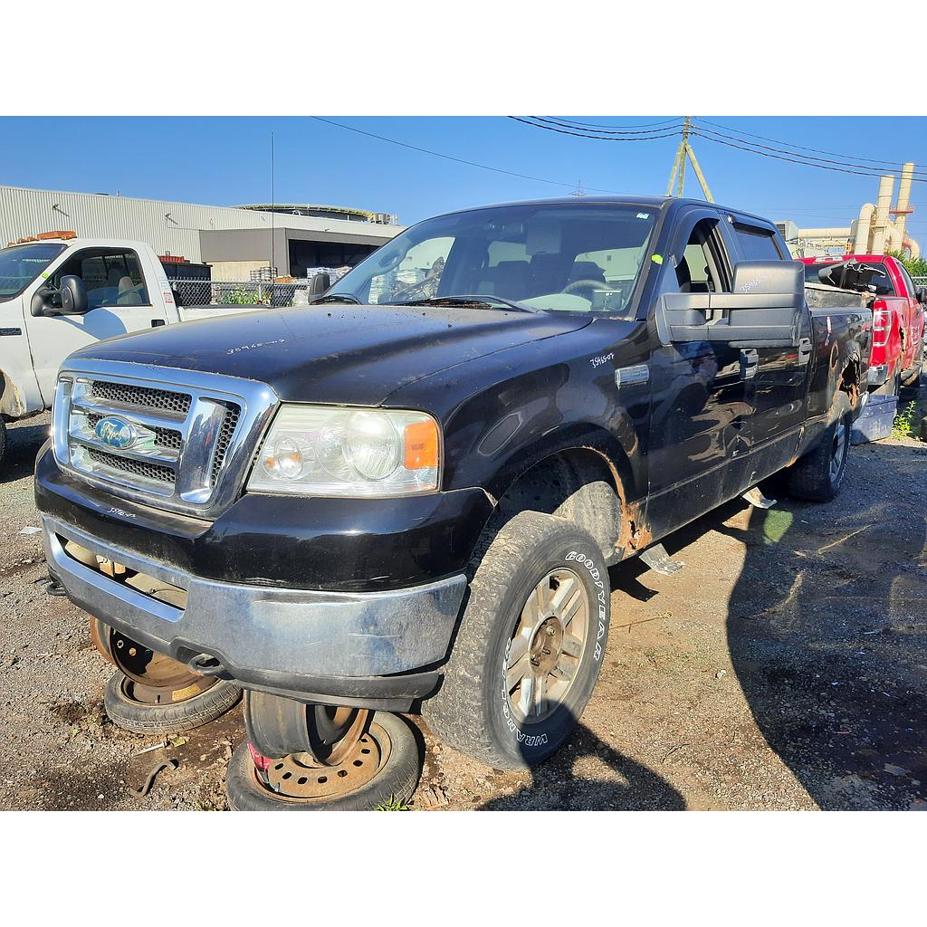 FORD F-150 2007
