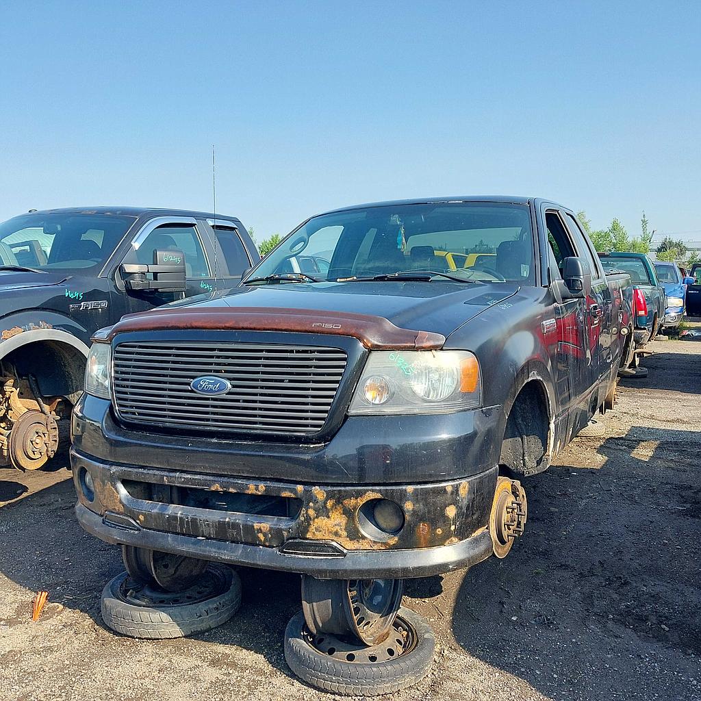 FORD F-150 2007