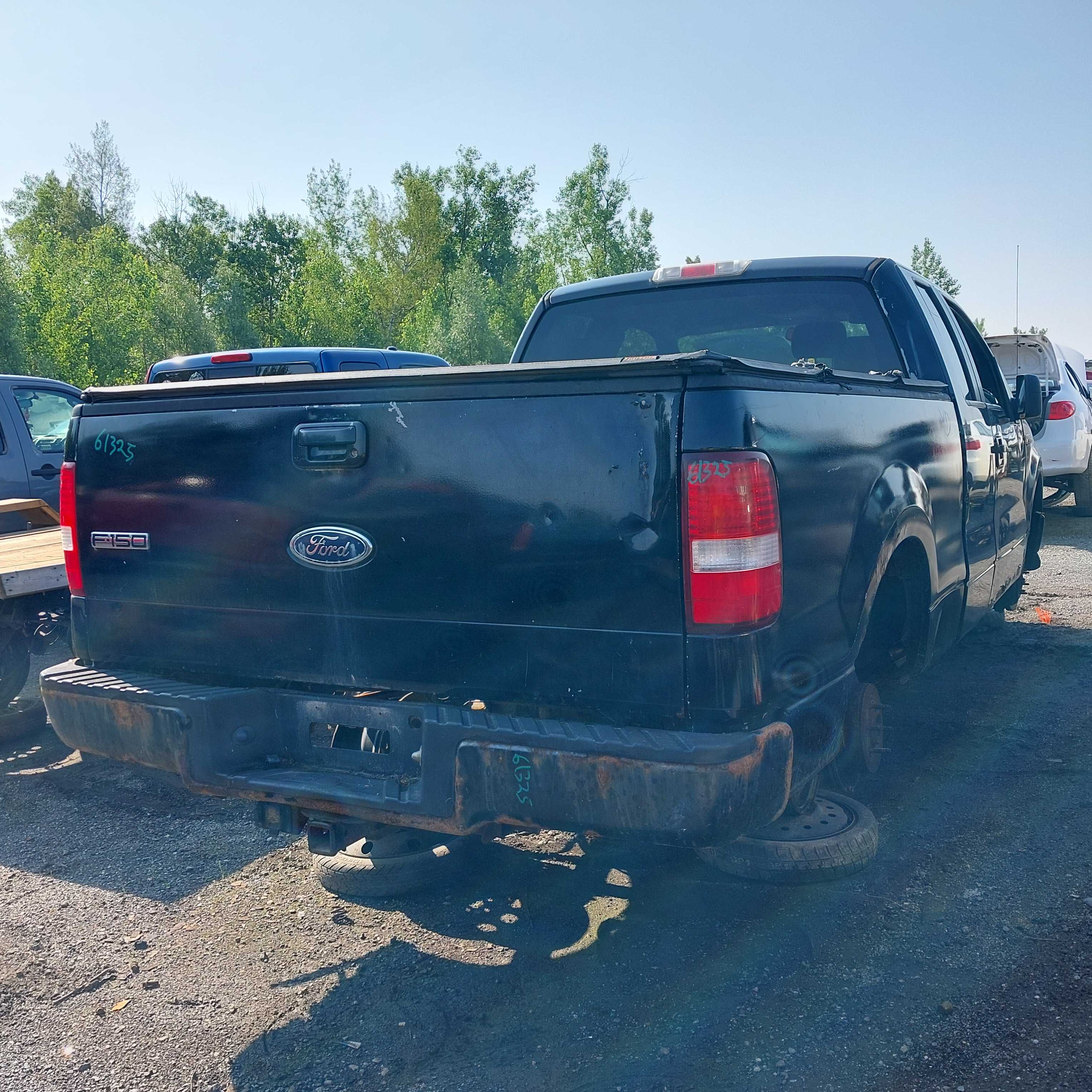 FORD F-150 2007