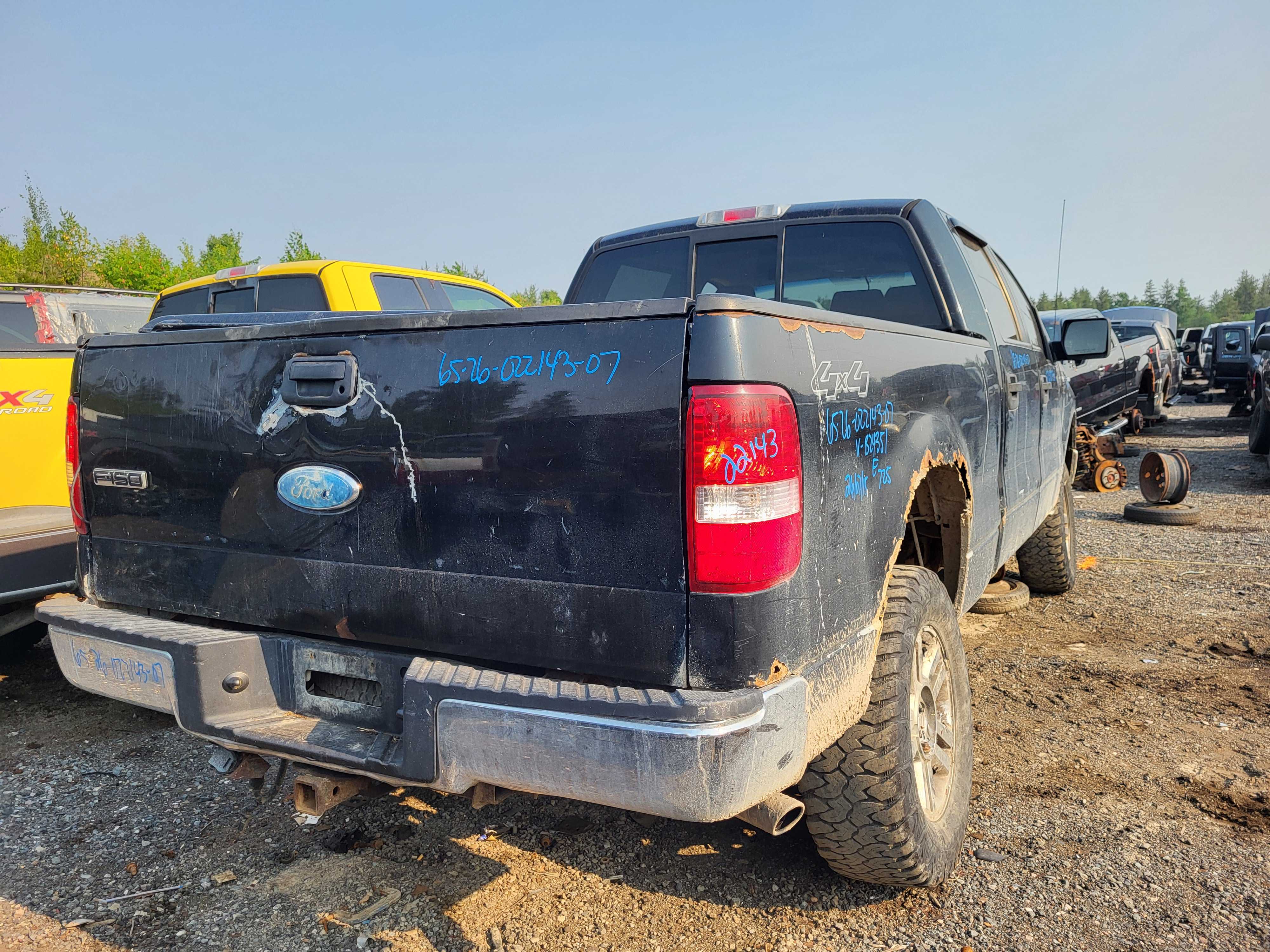 FORD F-150 2007