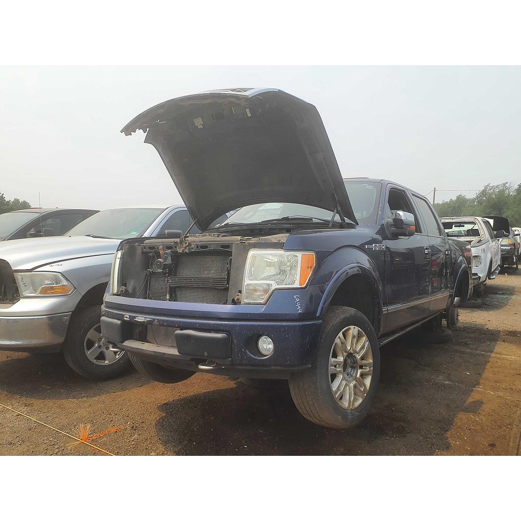 FORD F-150 2009