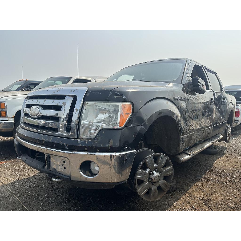FORD F-150 2009