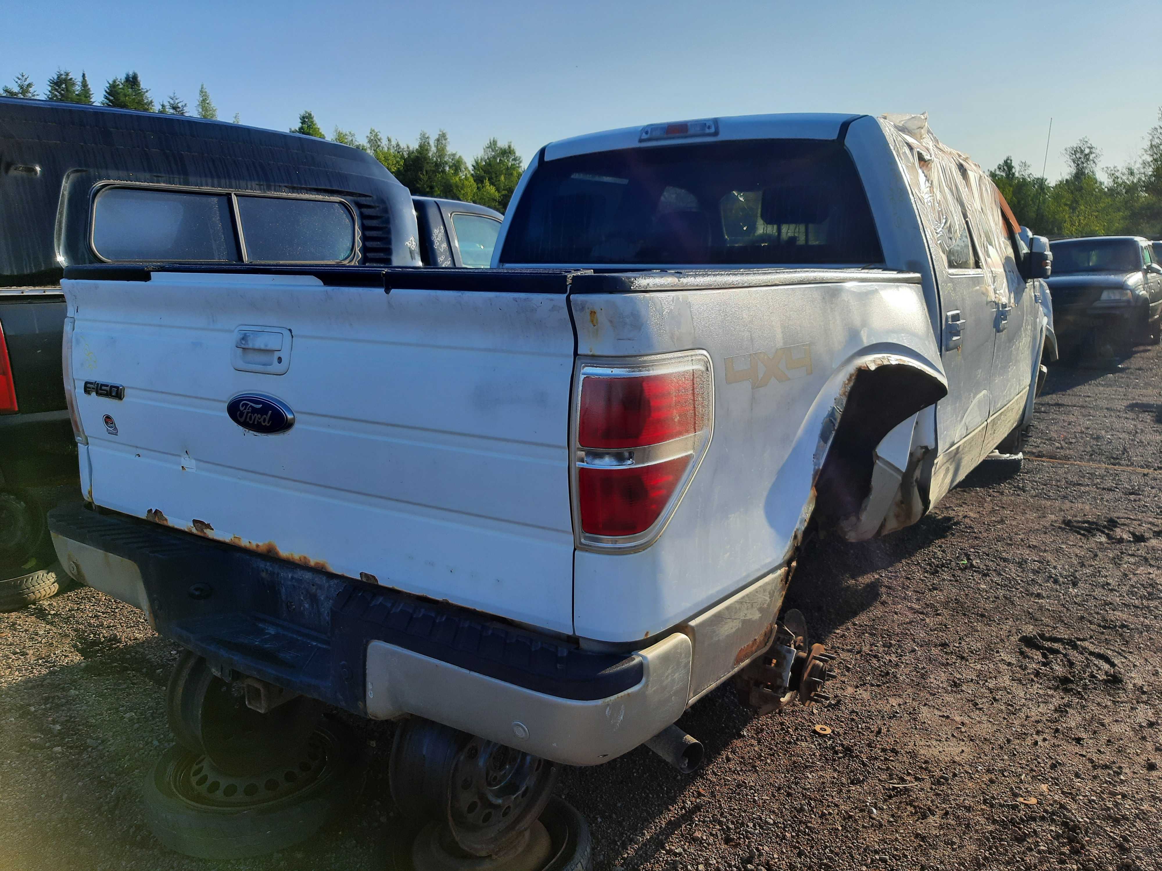 FORD F-150 2009