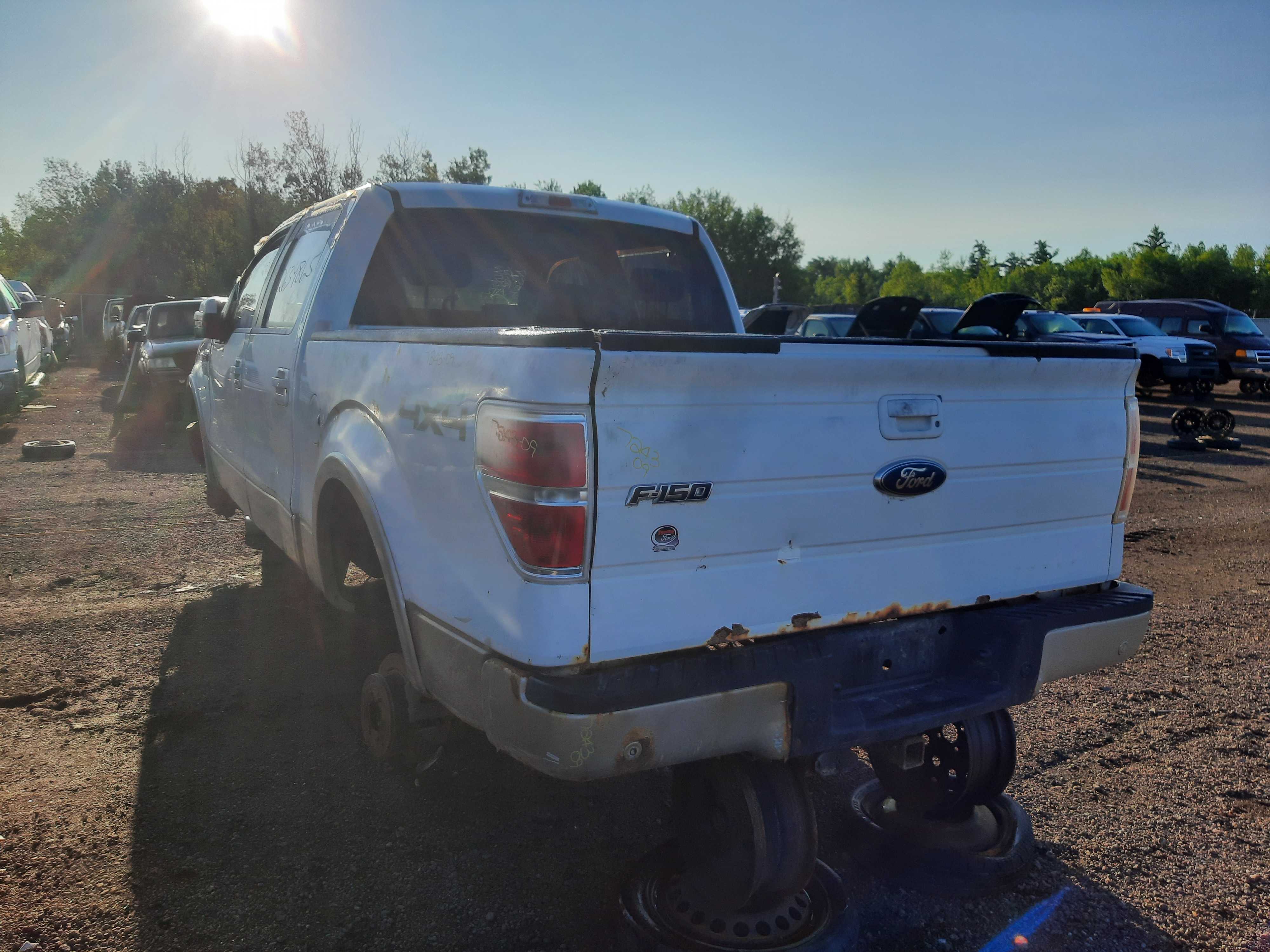 FORD F-150 2009