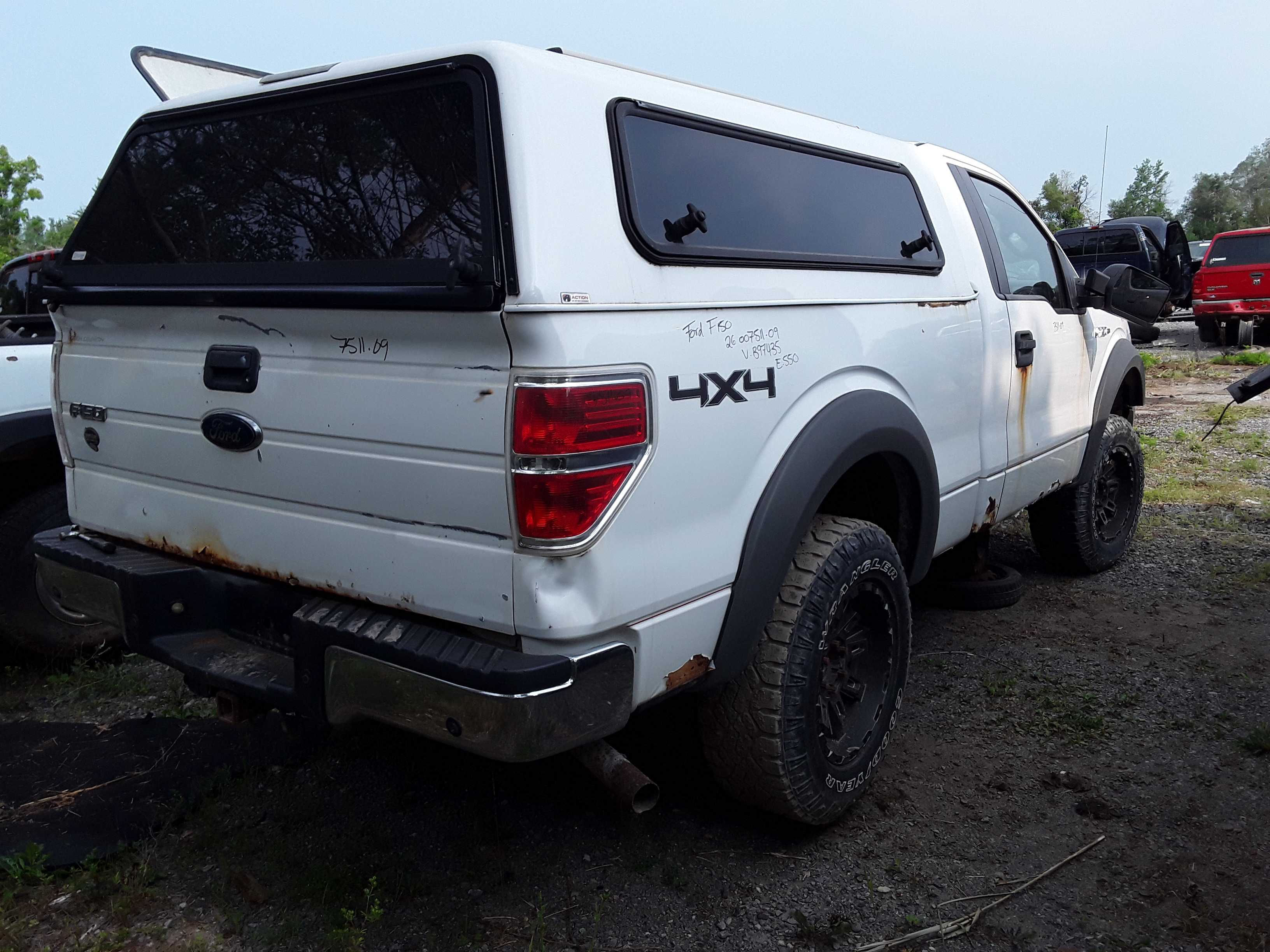 FORD F-150 2009
