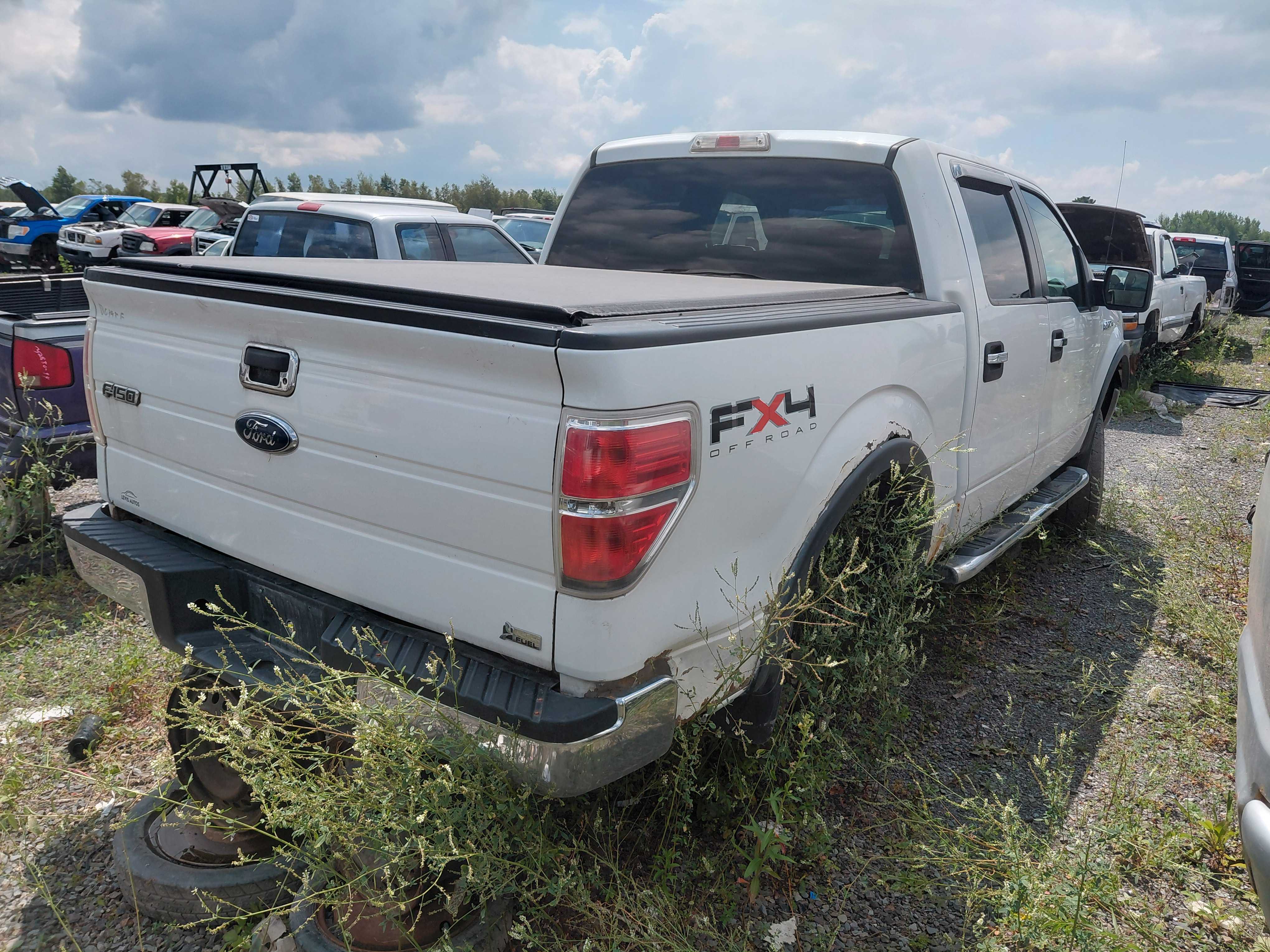 FORD F-150 2009