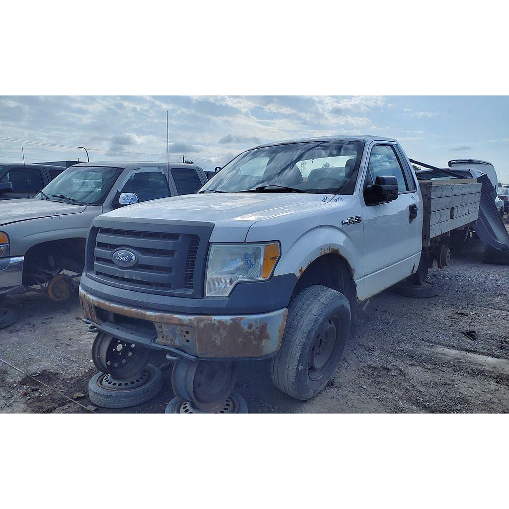 FORD F-150 2010