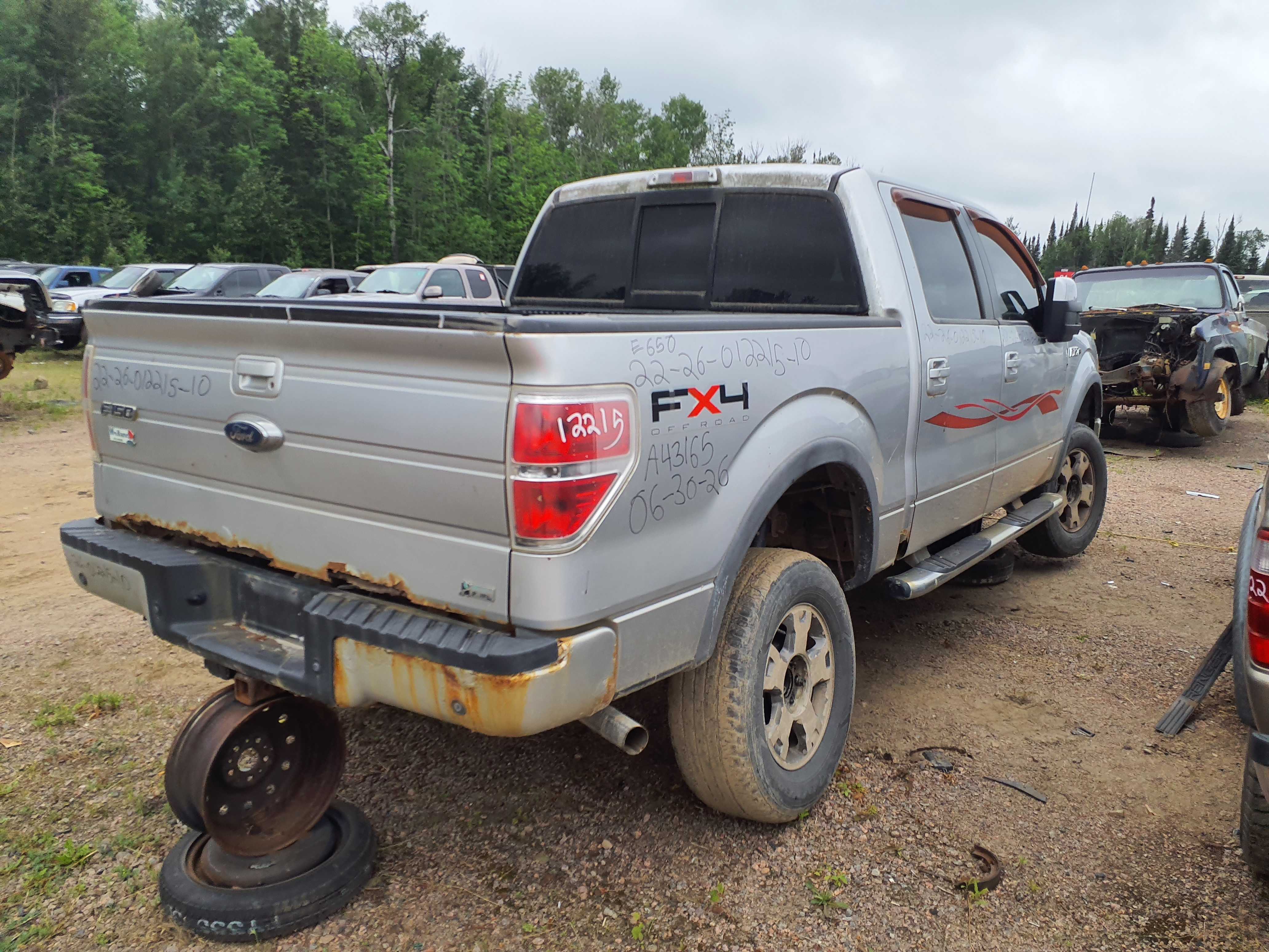 FORD F-150 2010