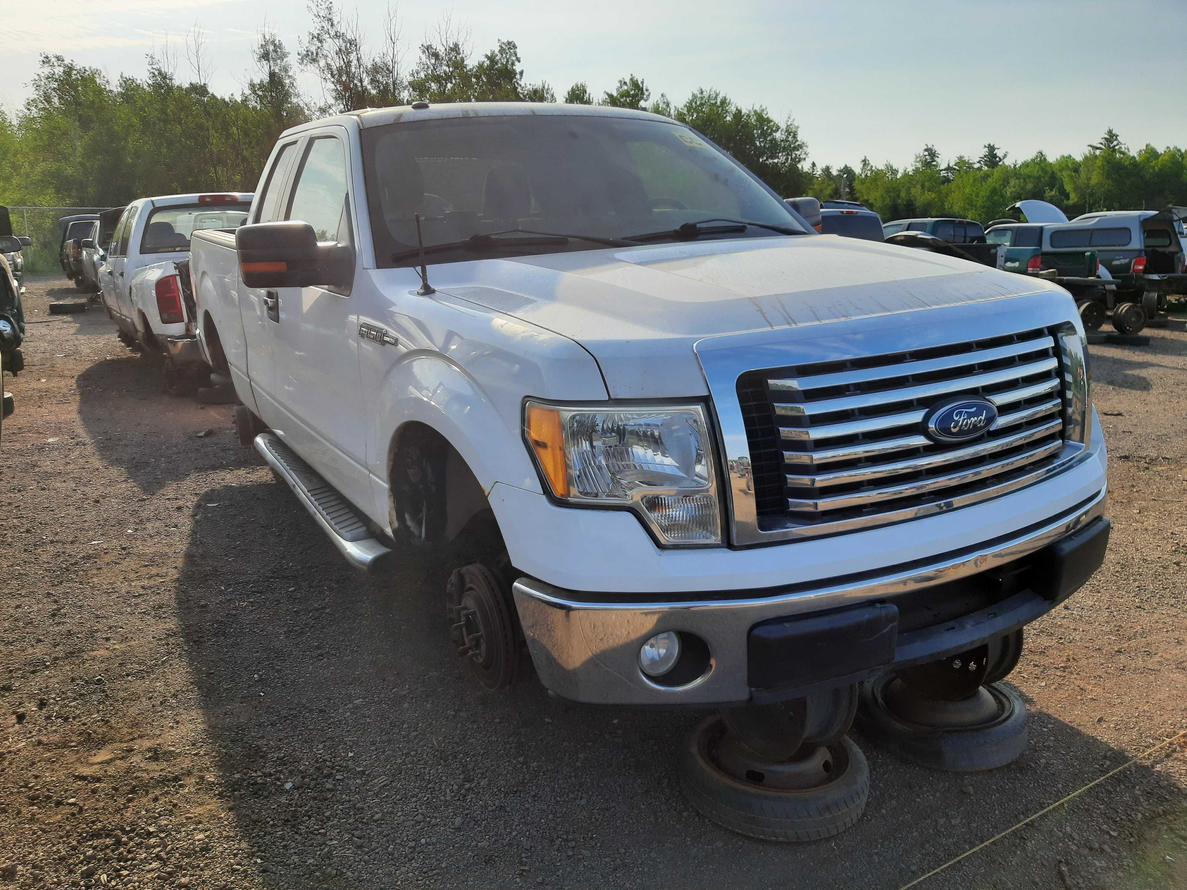 FORD F-150 2010