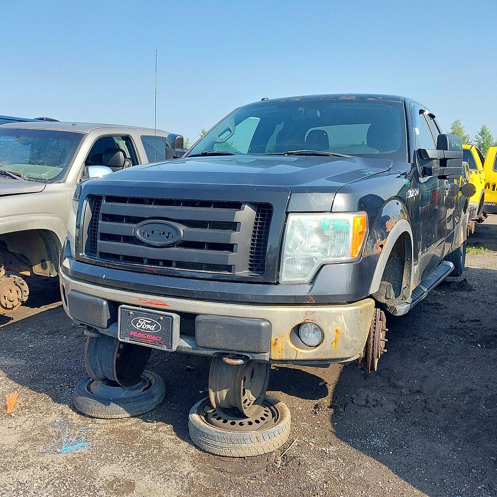 FORD F-150 2010