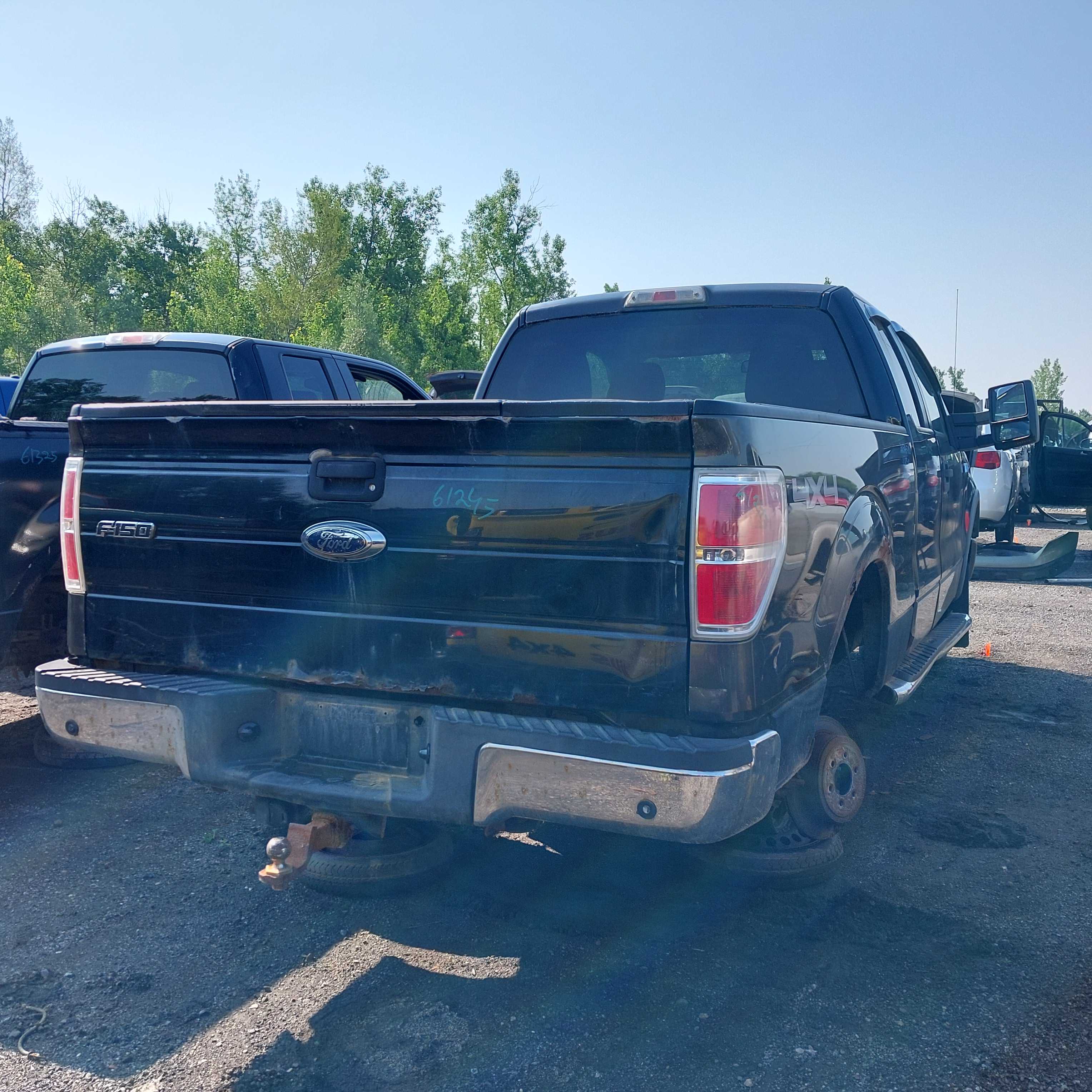 FORD F-150 2010