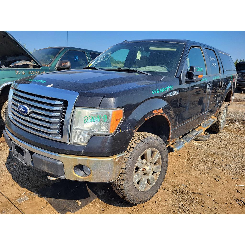 FORD F-150 2010
