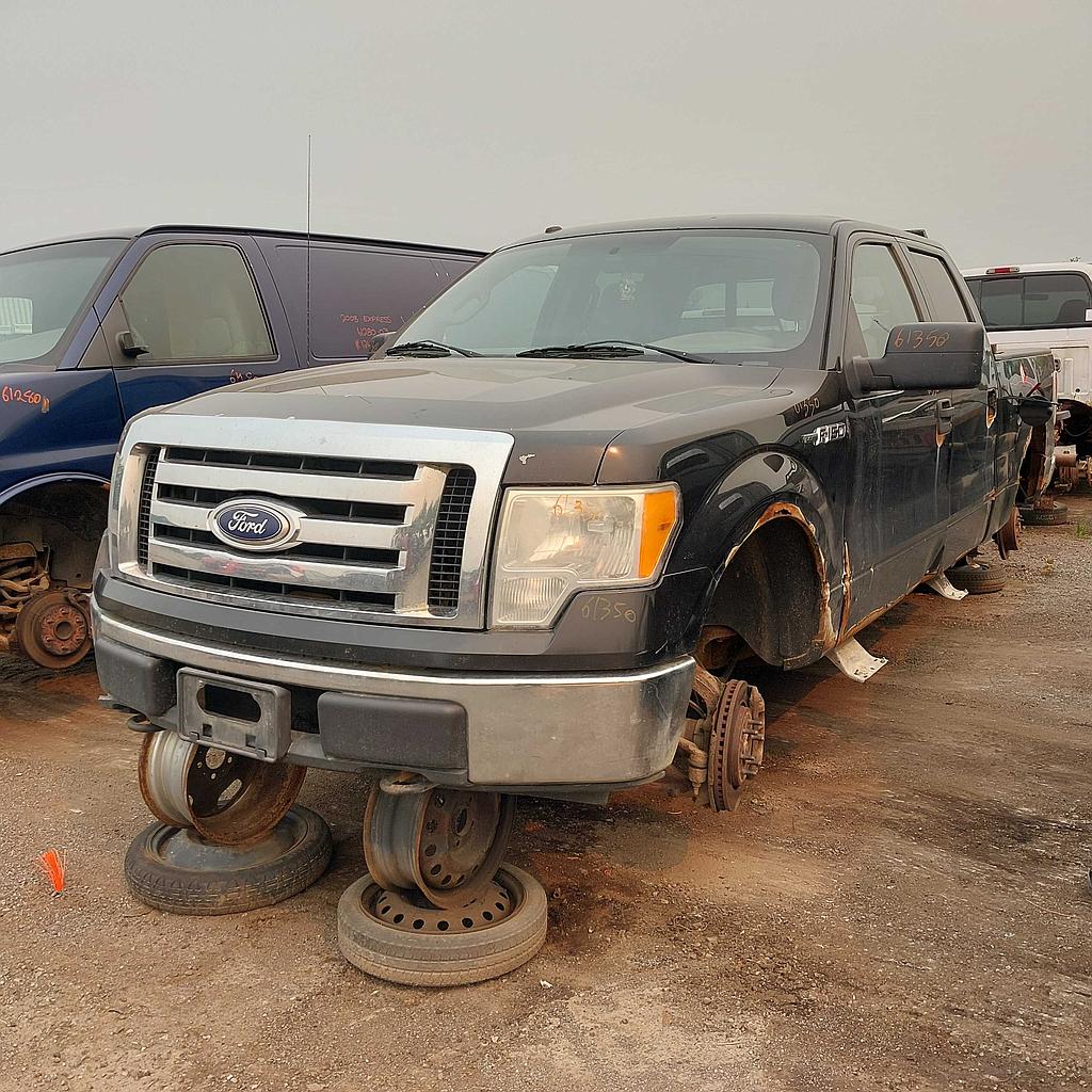 FORD F-150 2010