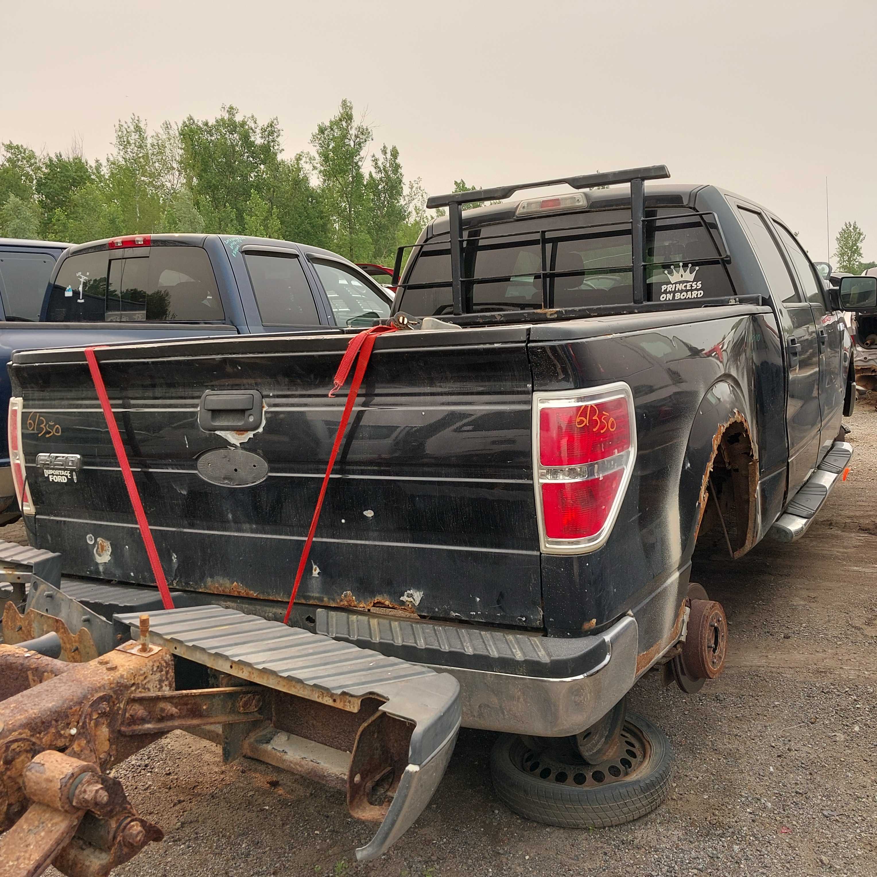 FORD F-150 2010