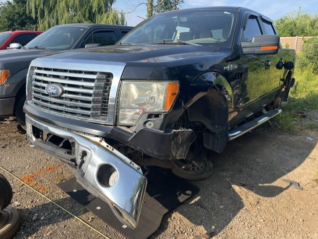 FORD F-150 2010