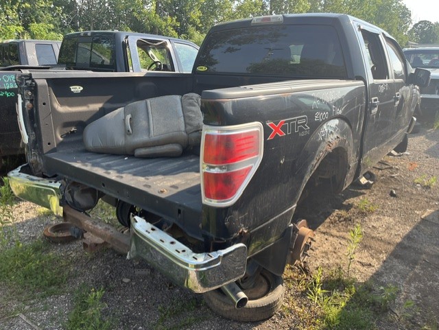 FORD F-150 2010