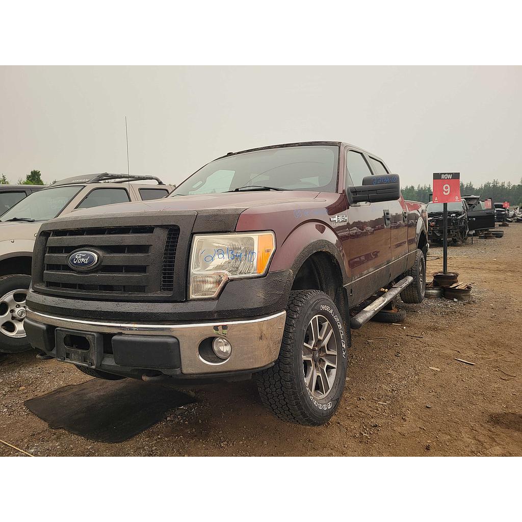 FORD F-150 2010