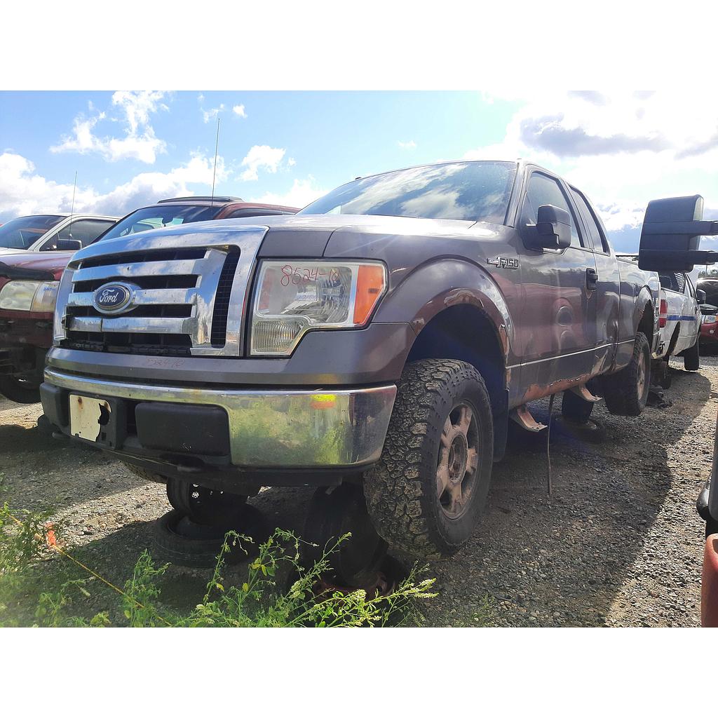 FORD F-150 2010