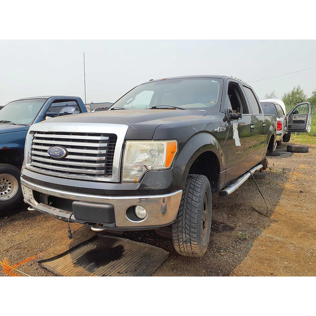 FORD F-150 2010